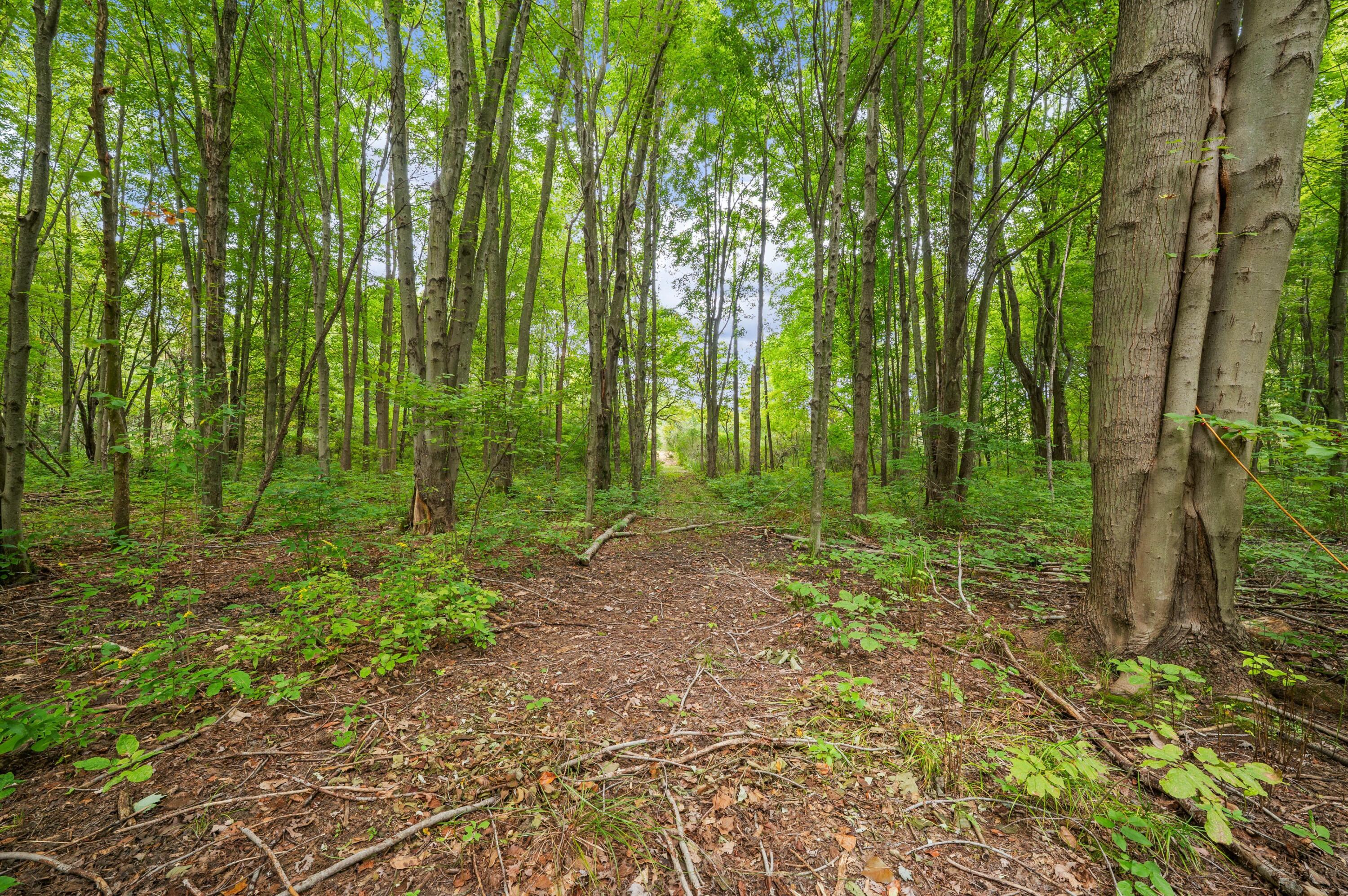 5471 Little Paw Paw Lake Road Coloma MI 49038