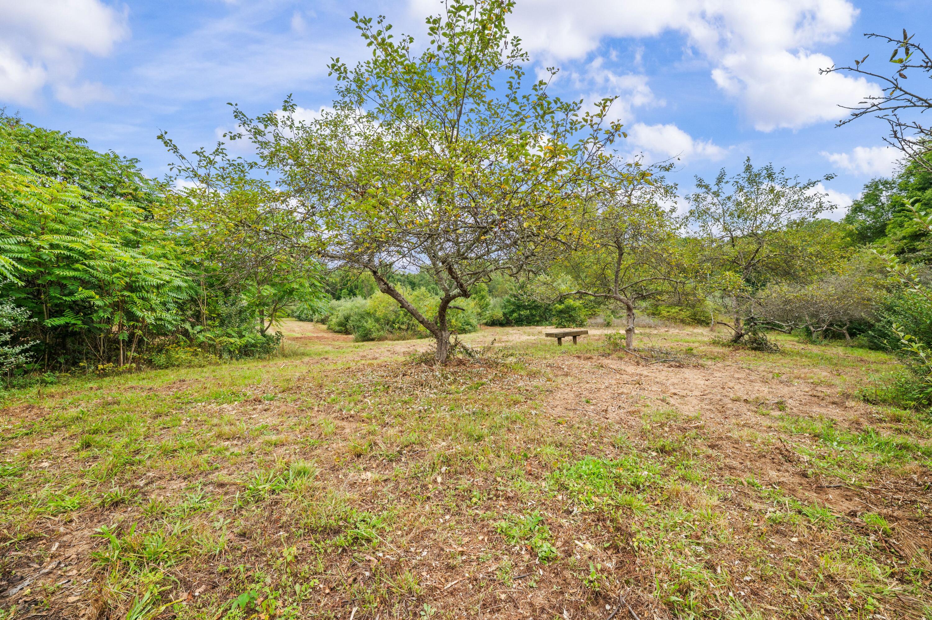 5471 Little Paw Paw Lake Road Coloma MI 49038
