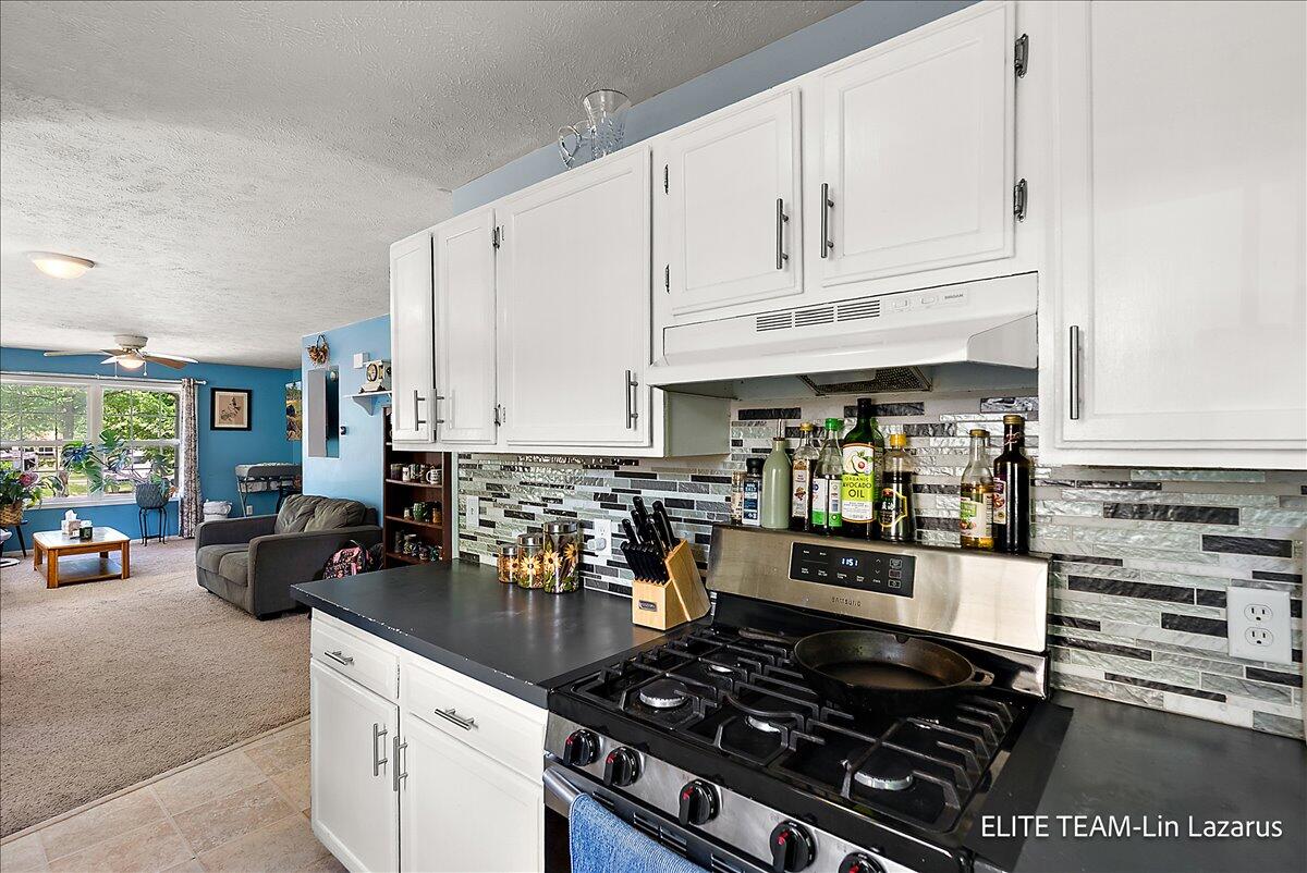 736 Cass Avenue SE Grand Rapids MI 49503