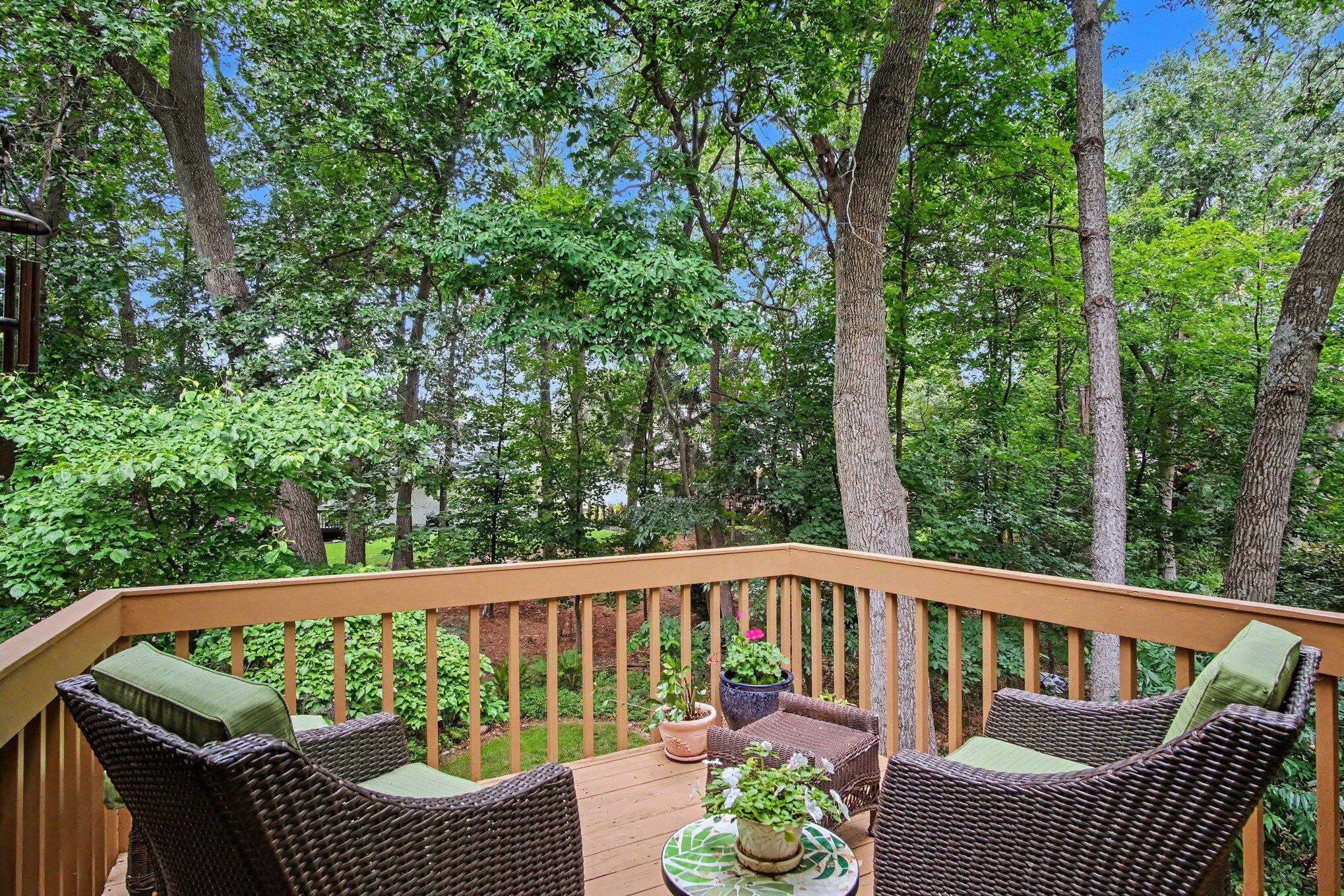 6368 Drumlin Court SE Ada MI 49301