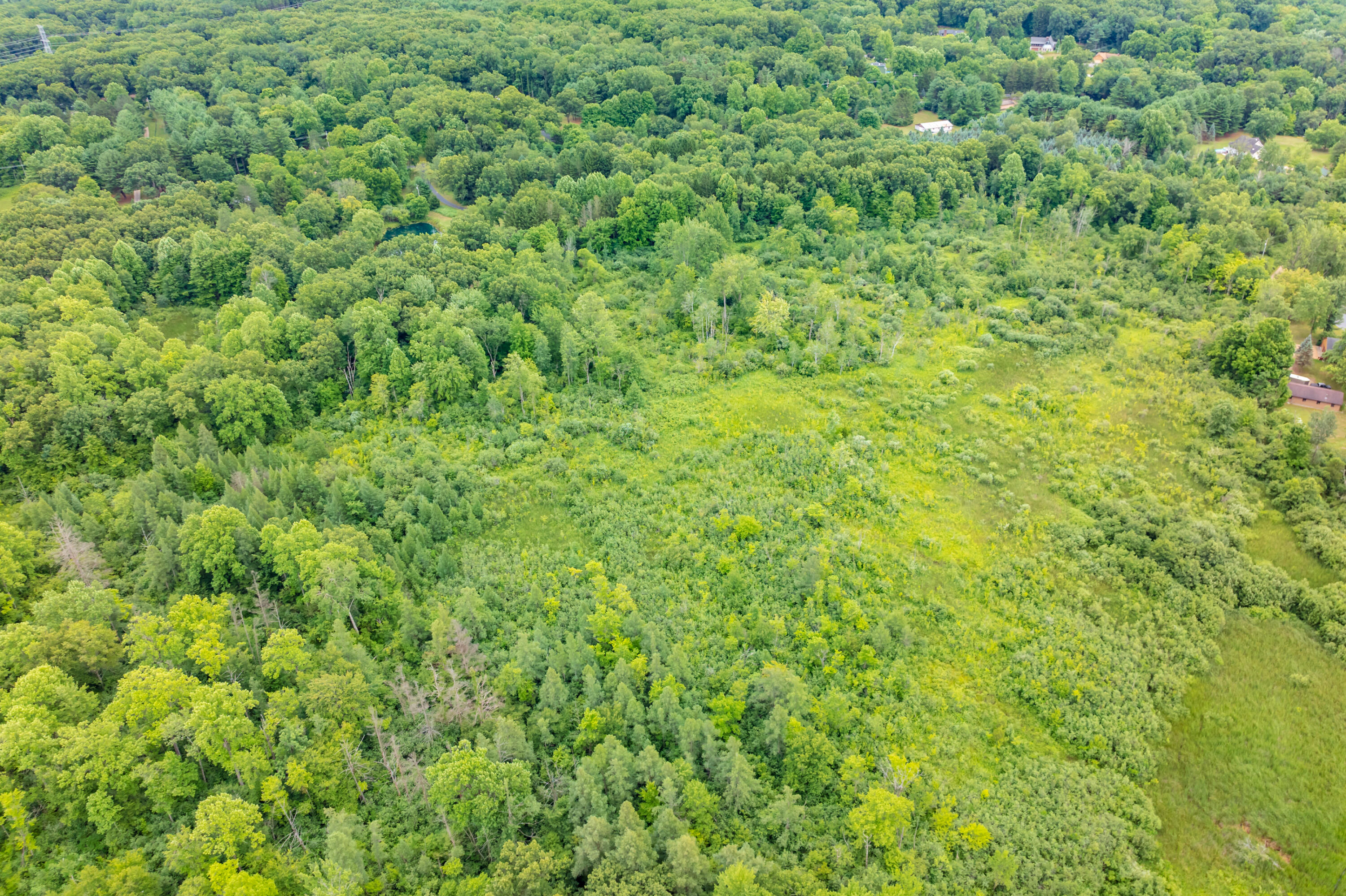 31664 Fish Hatchery Road Kalamazoo MI 49009