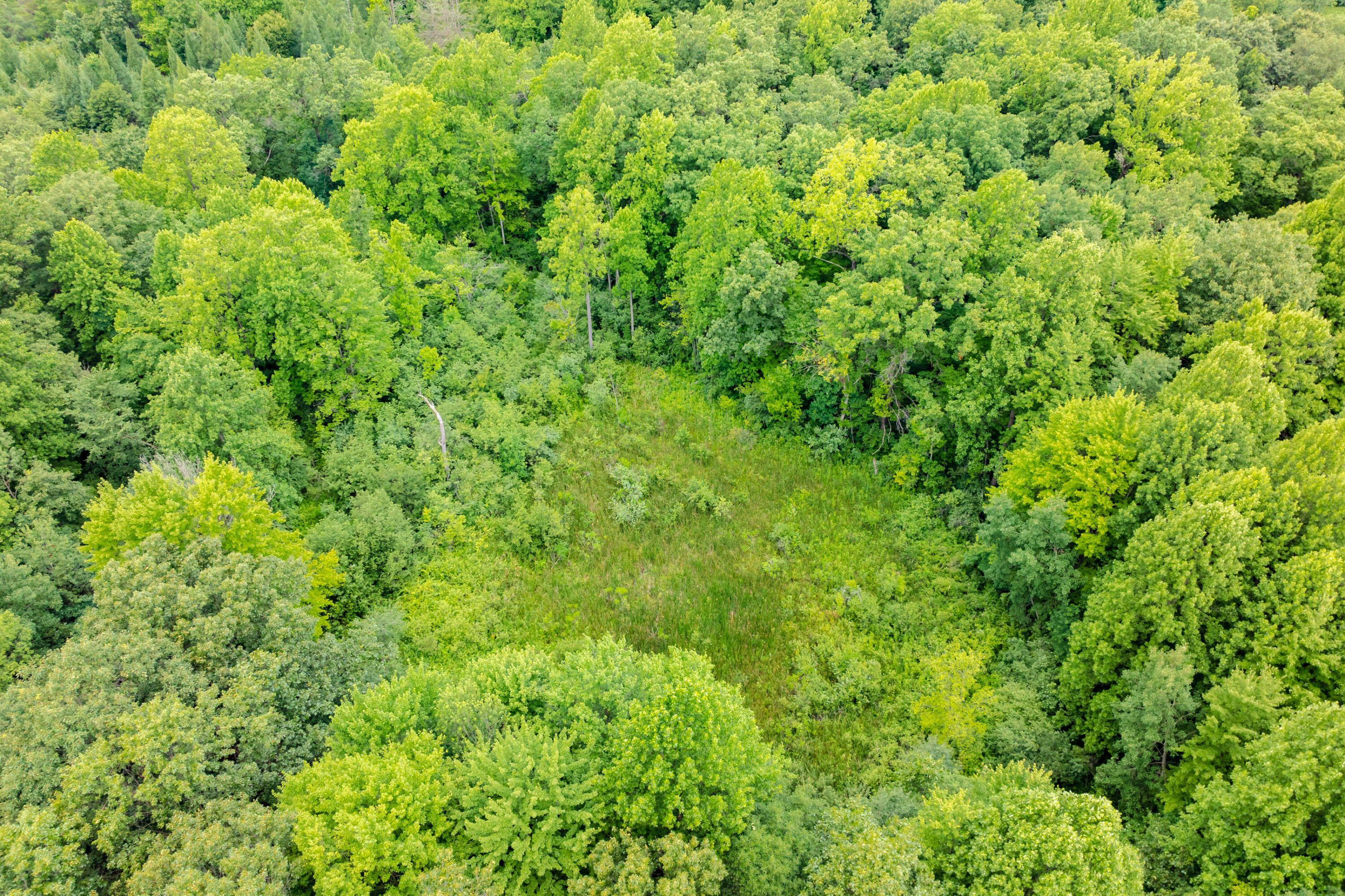 31664 Fish Hatchery Road Kalamazoo MI 49009