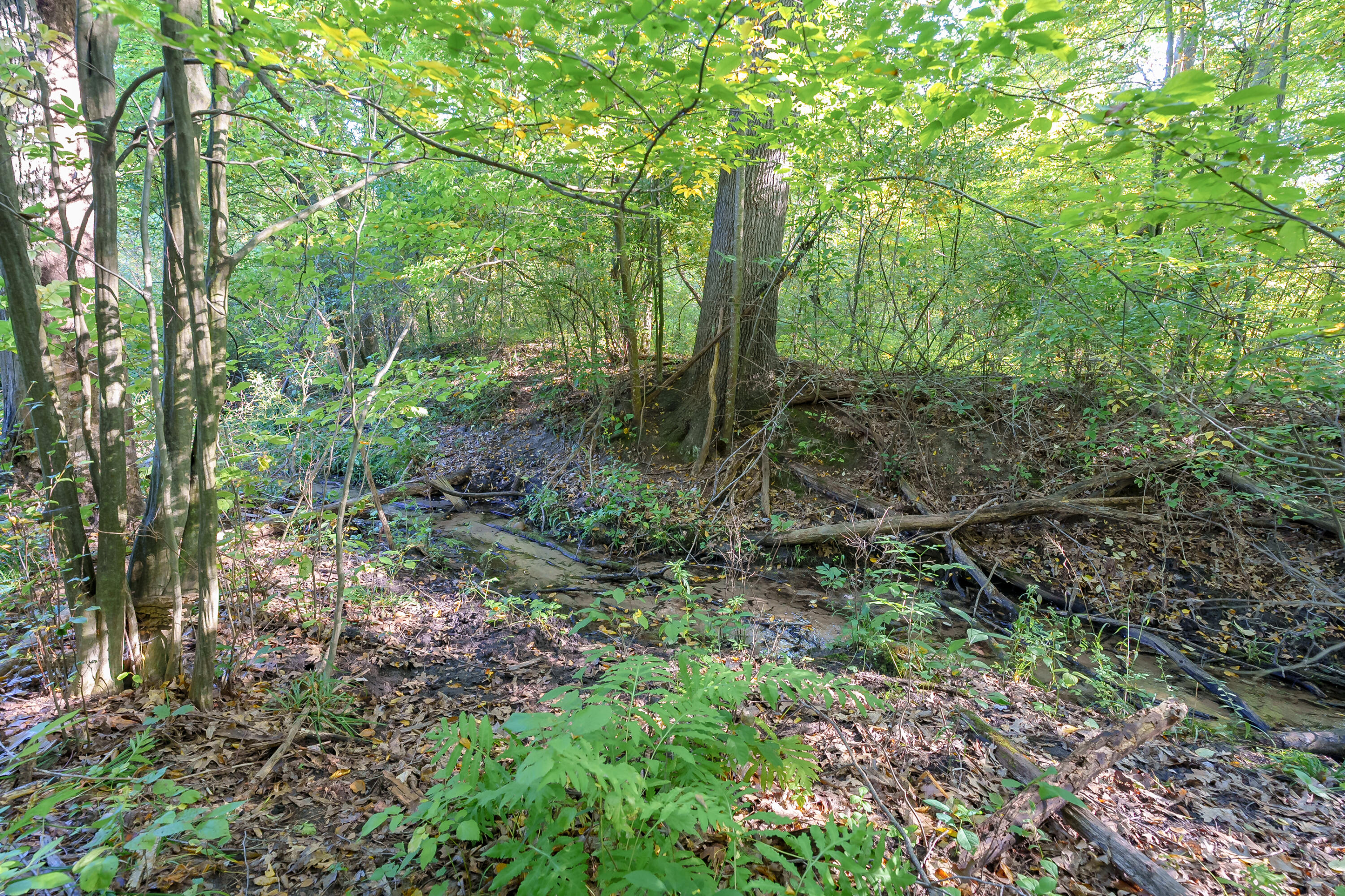 31664 Fish Hatchery Road Kalamazoo MI 49009