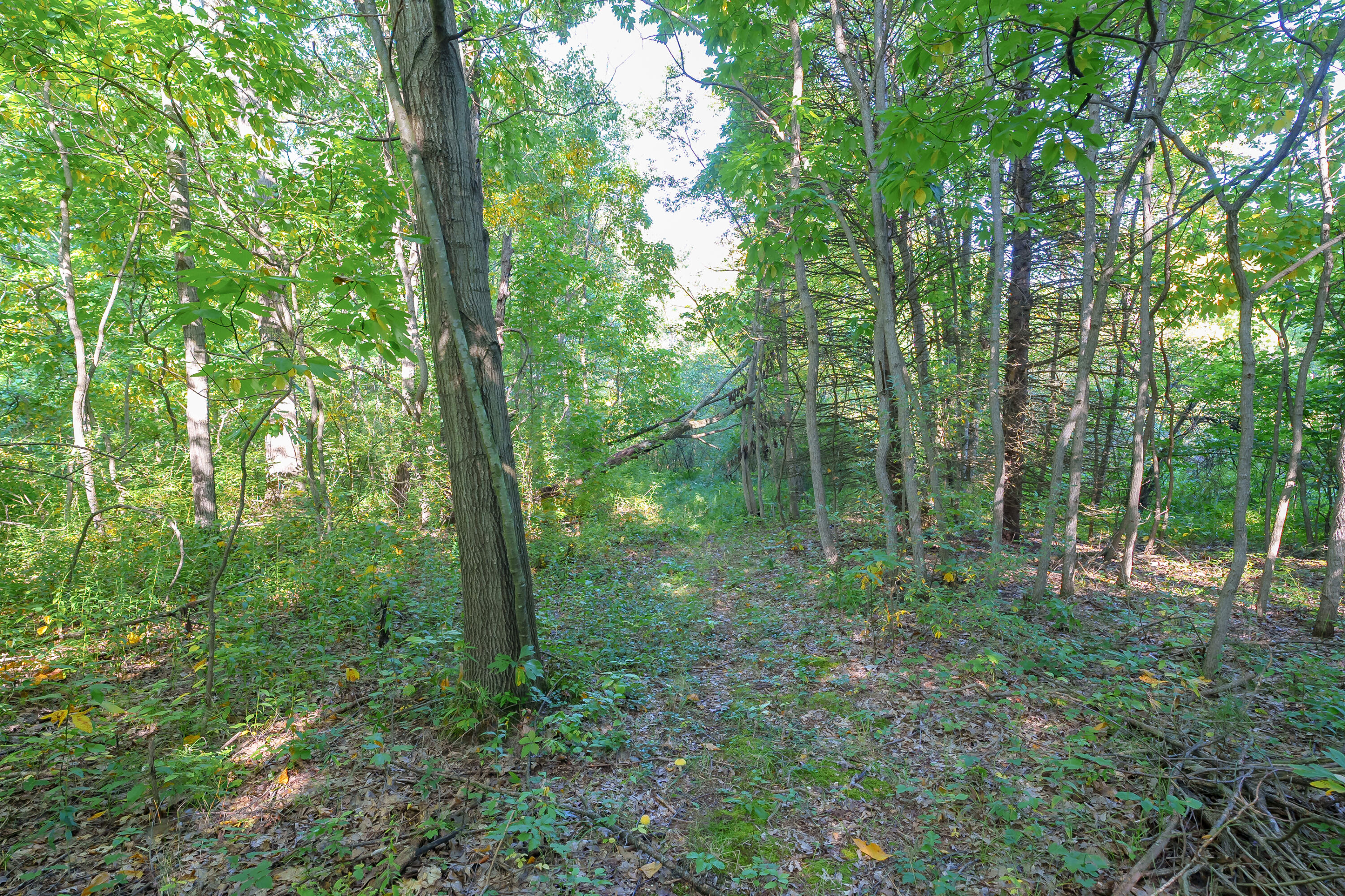 31664 Fish Hatchery Road Kalamazoo MI 49009