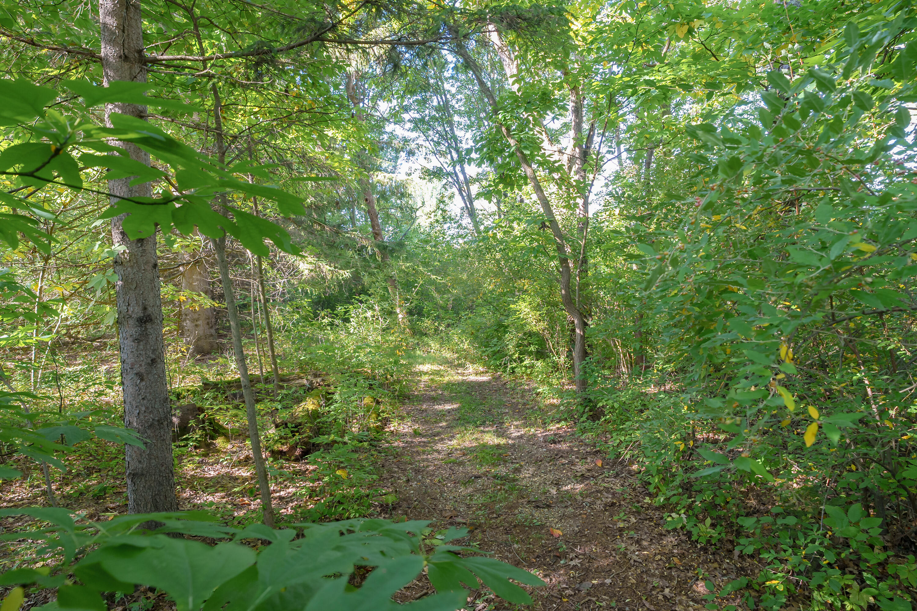31664 Fish Hatchery Road Kalamazoo MI 49009