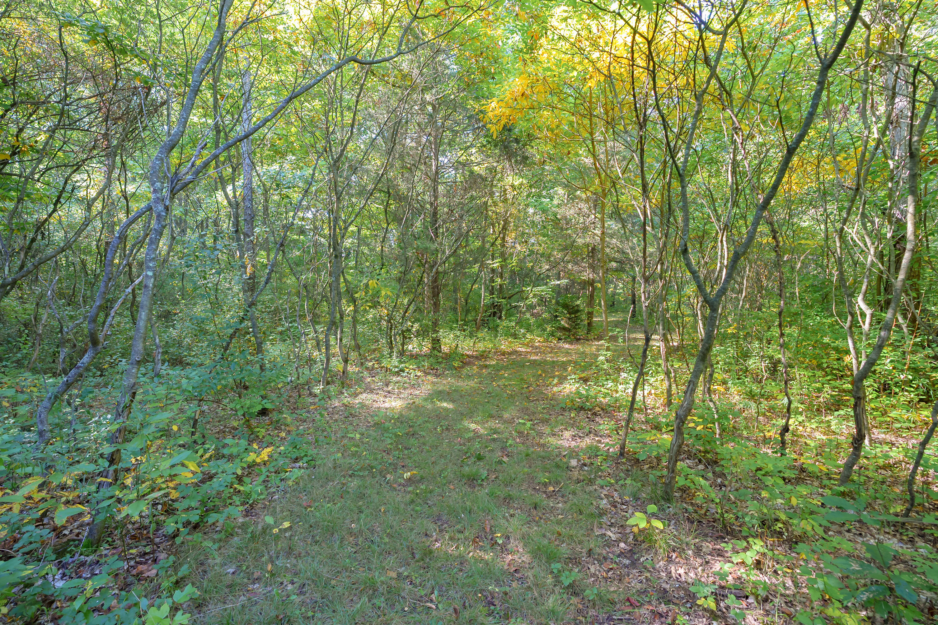 31664 Fish Hatchery Road Kalamazoo MI 49009