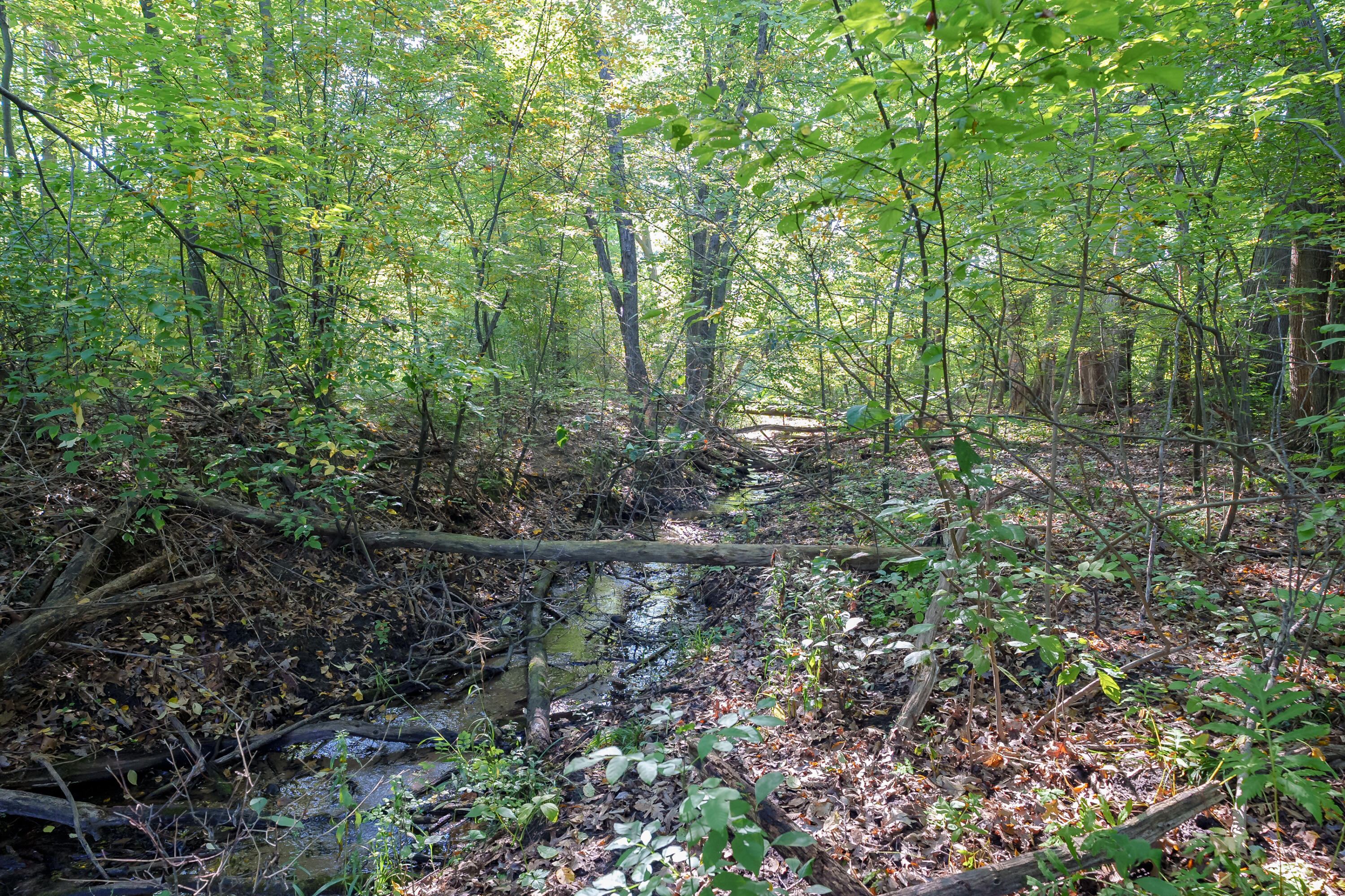 31664 Fish Hatchery Road Kalamazoo MI 49009