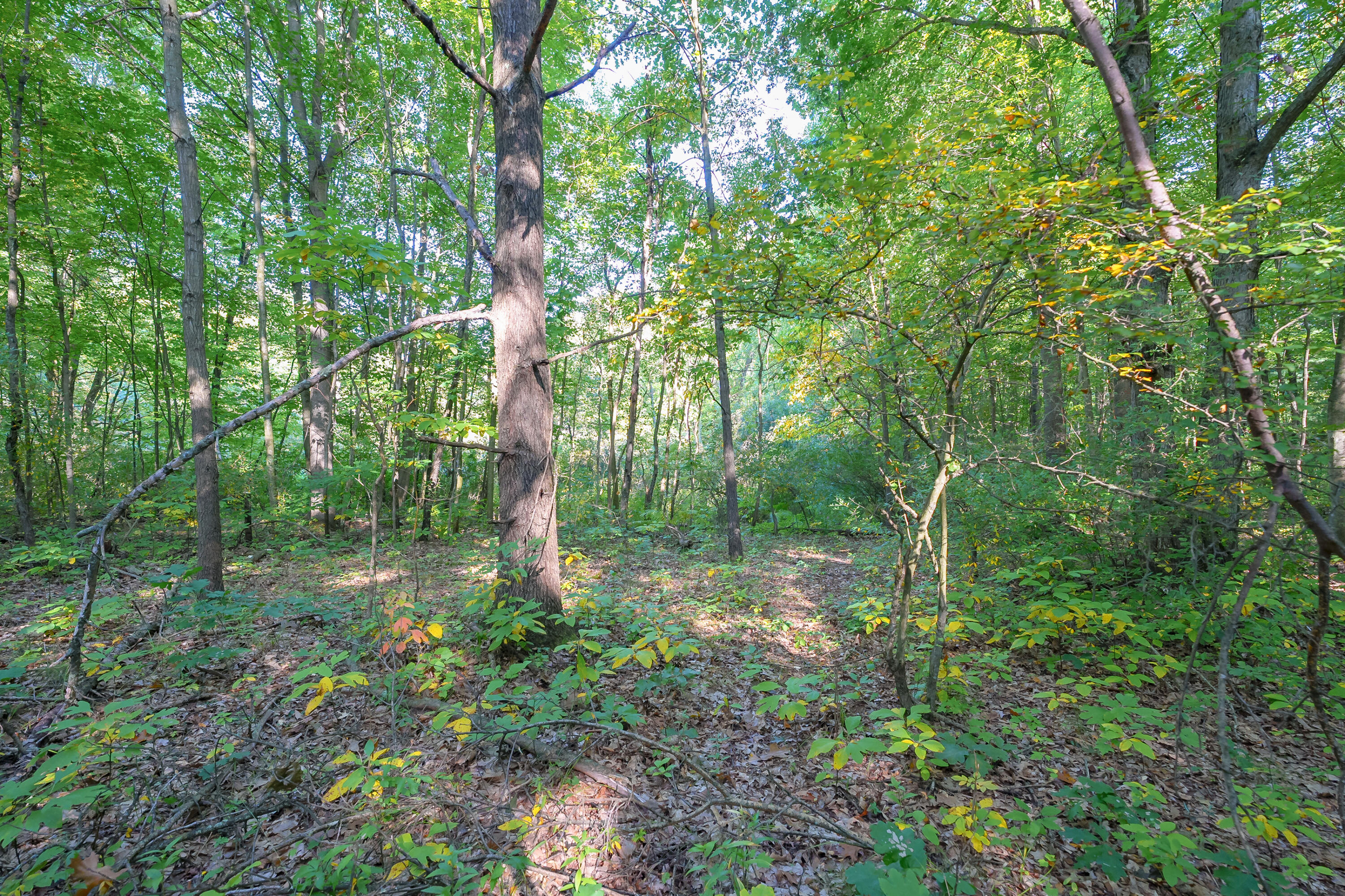 31664 Fish Hatchery Road Kalamazoo MI 49009