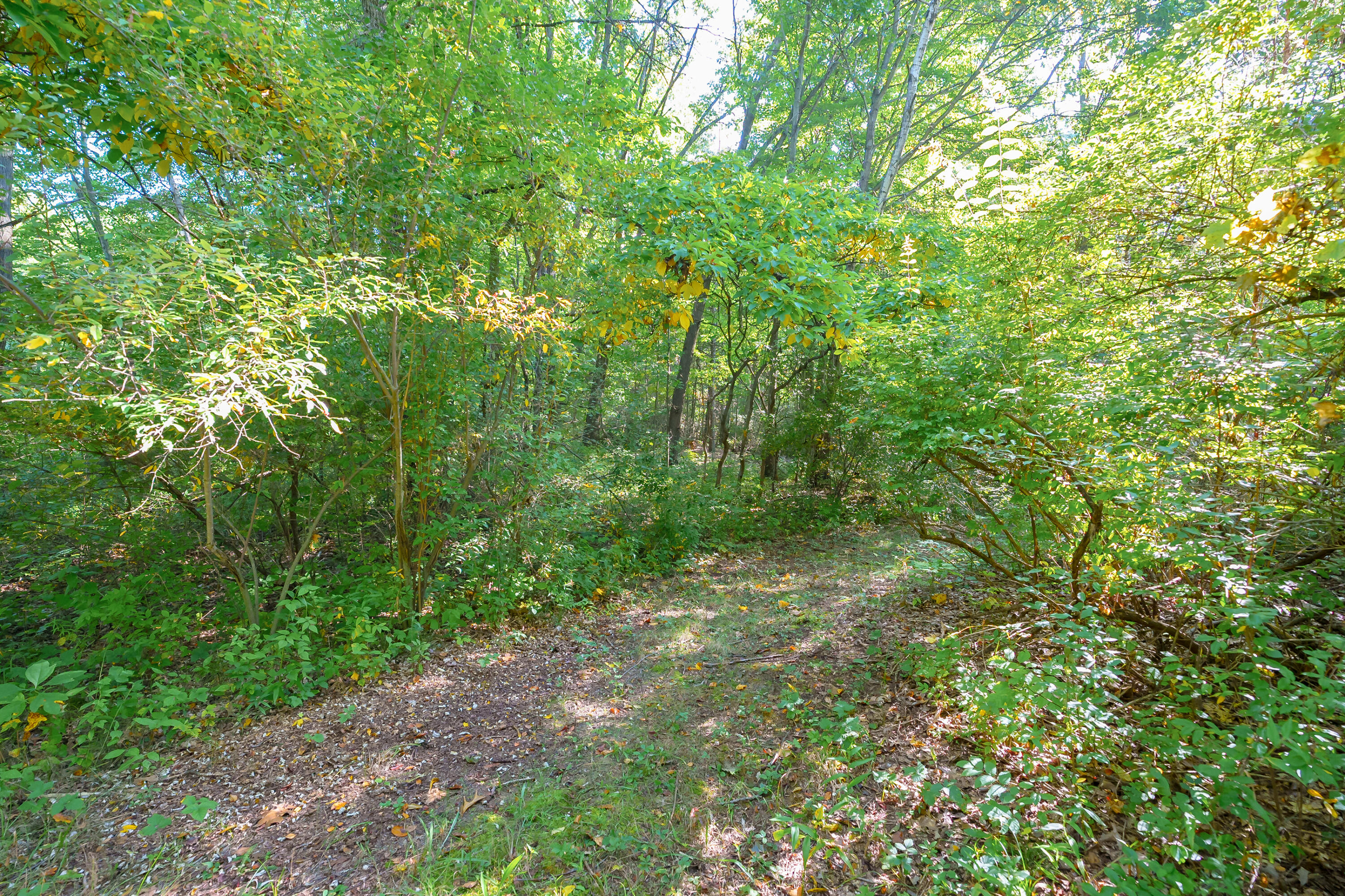 31664 Fish Hatchery Road Kalamazoo MI 49009