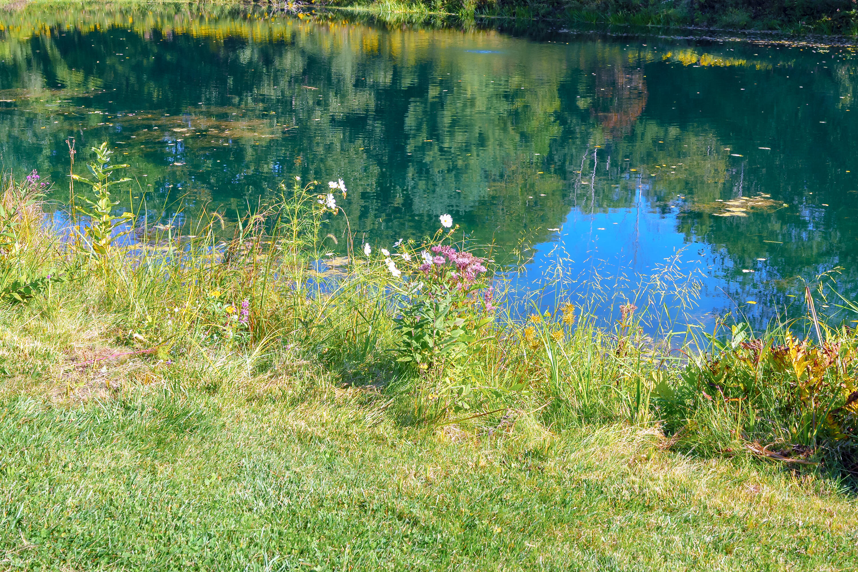 31664 Fish Hatchery Road Kalamazoo MI 49009