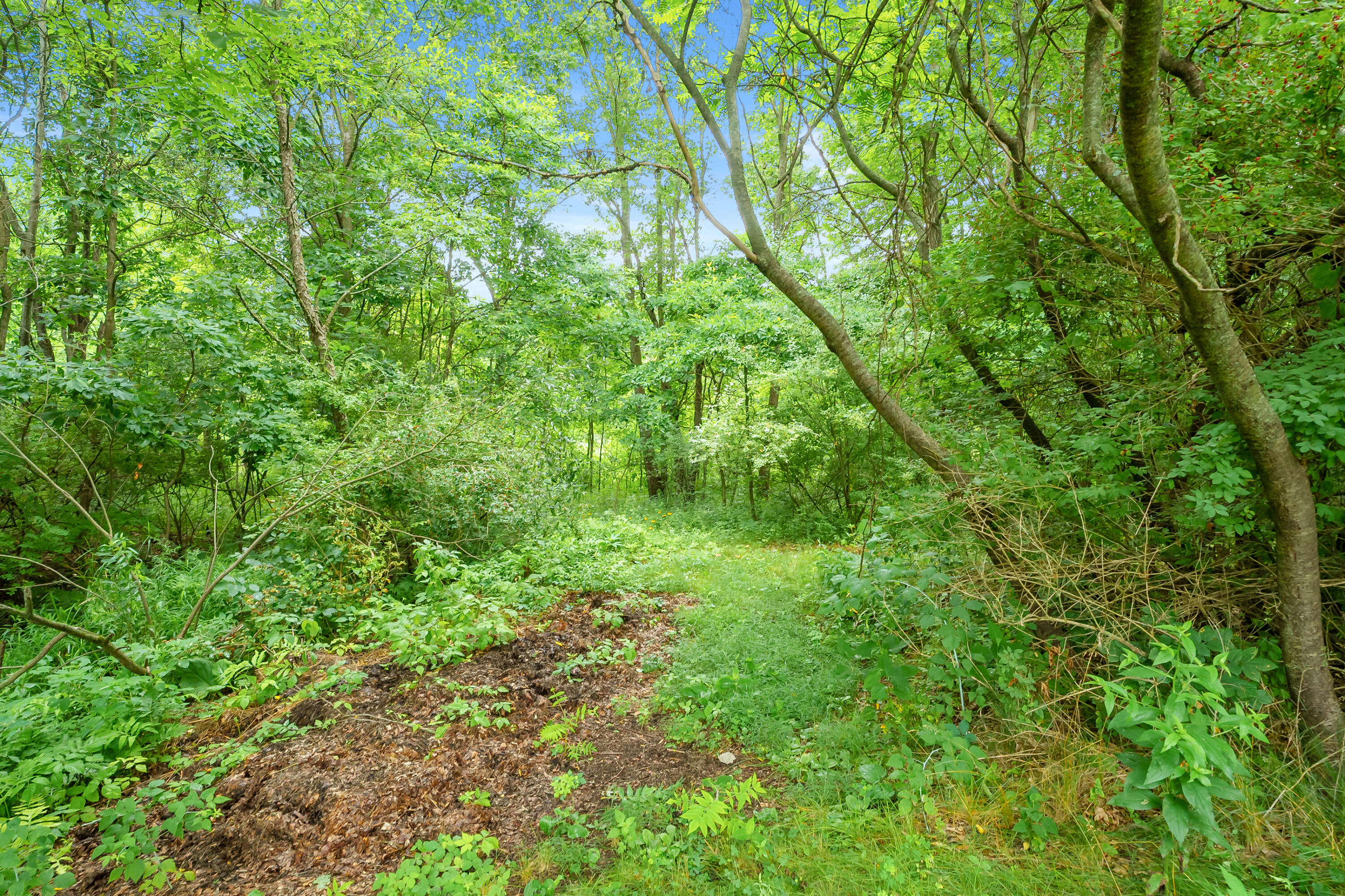 31664 Fish Hatchery Road Kalamazoo MI 49009