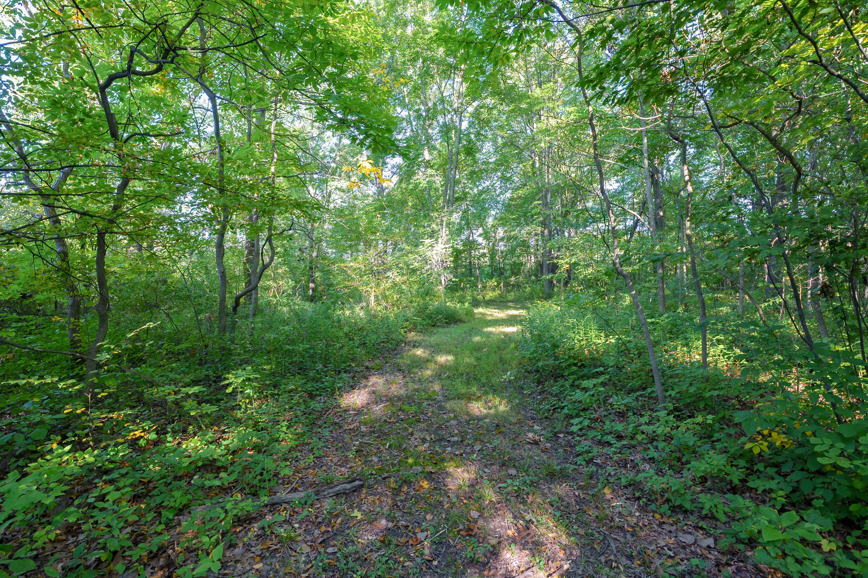 31664 Fish Hatchery Road Kalamazoo MI 49009