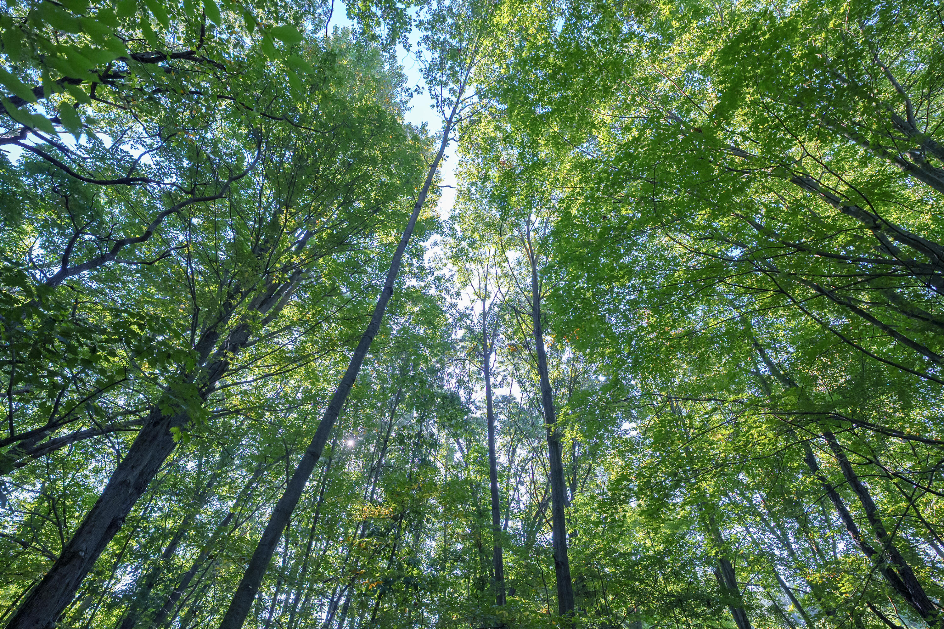 31664 Fish Hatchery Road Kalamazoo MI 49009