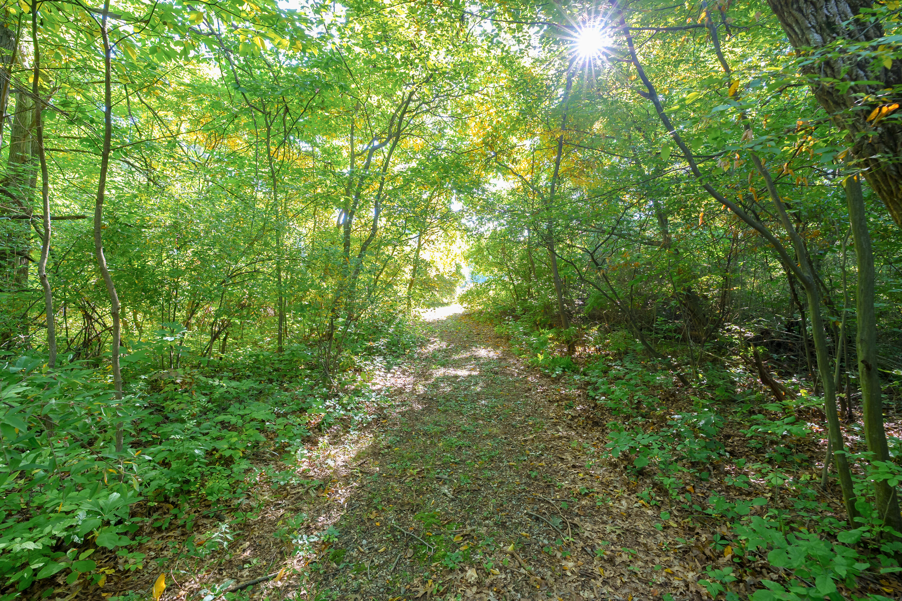 31664 Fish Hatchery Road Kalamazoo MI 49009