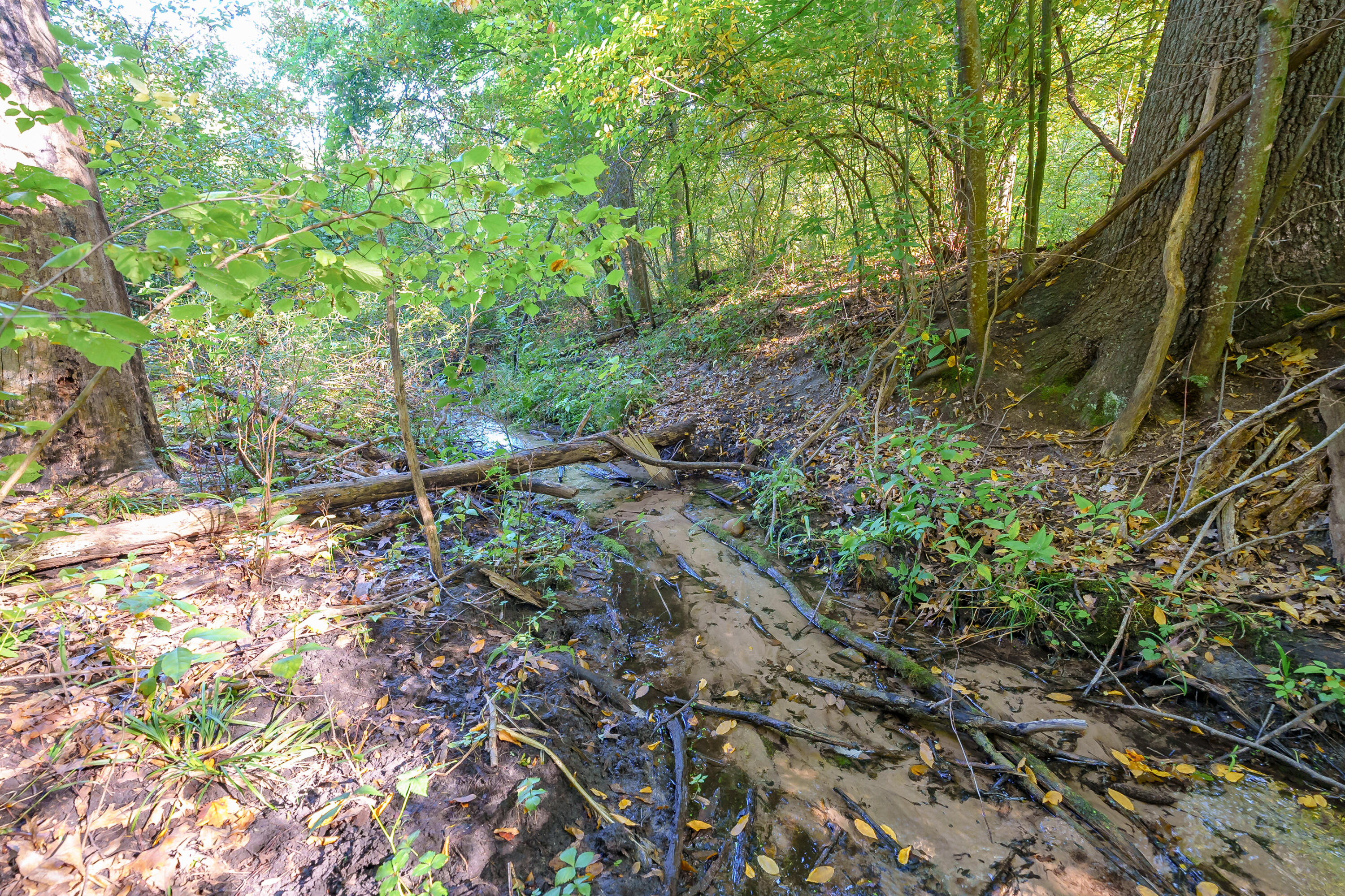 31664 Fish Hatchery Road Kalamazoo MI 49009