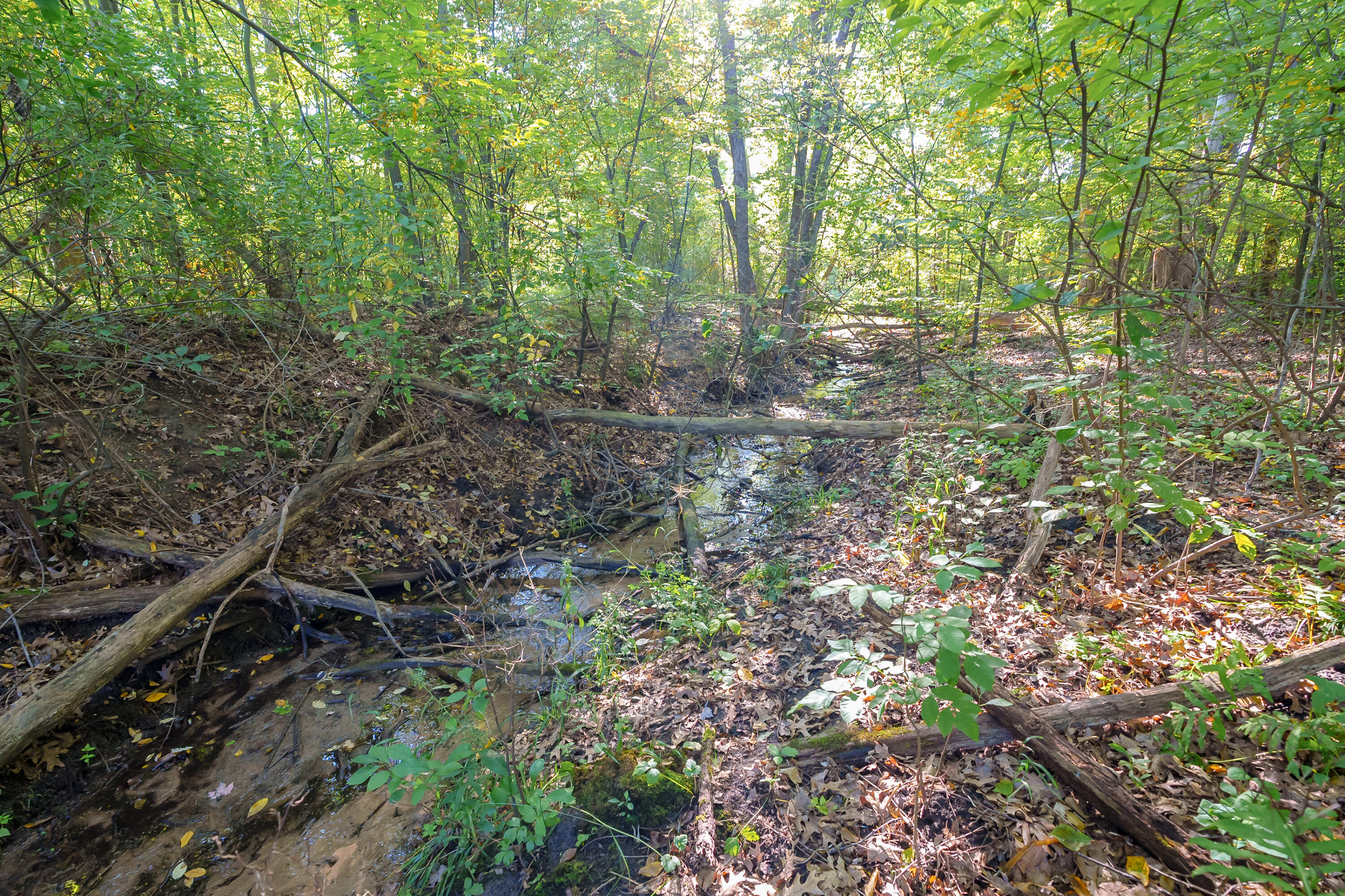 31664 Fish Hatchery Road Kalamazoo MI 49009