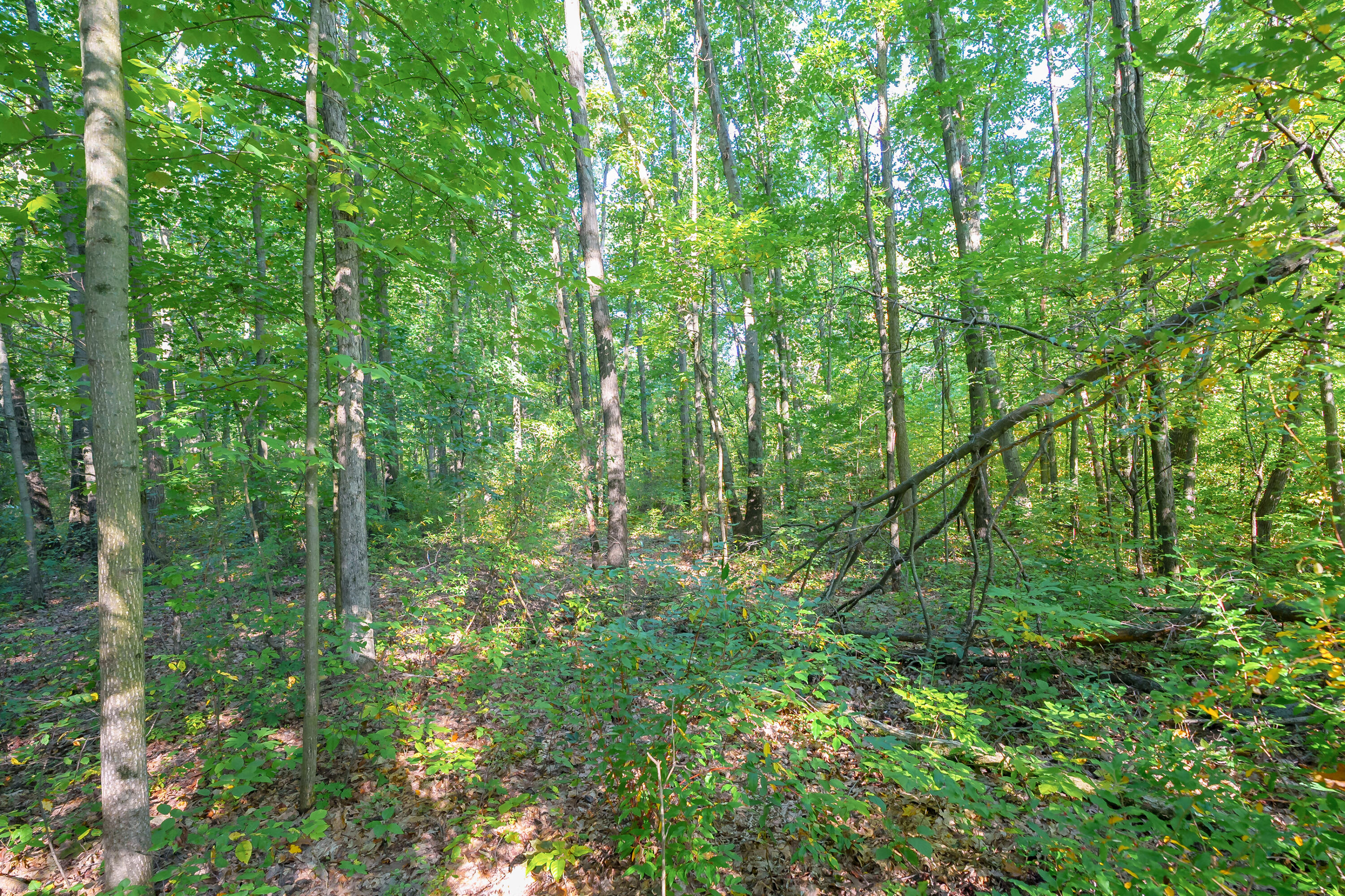 31664 Fish Hatchery Road Kalamazoo MI 49009