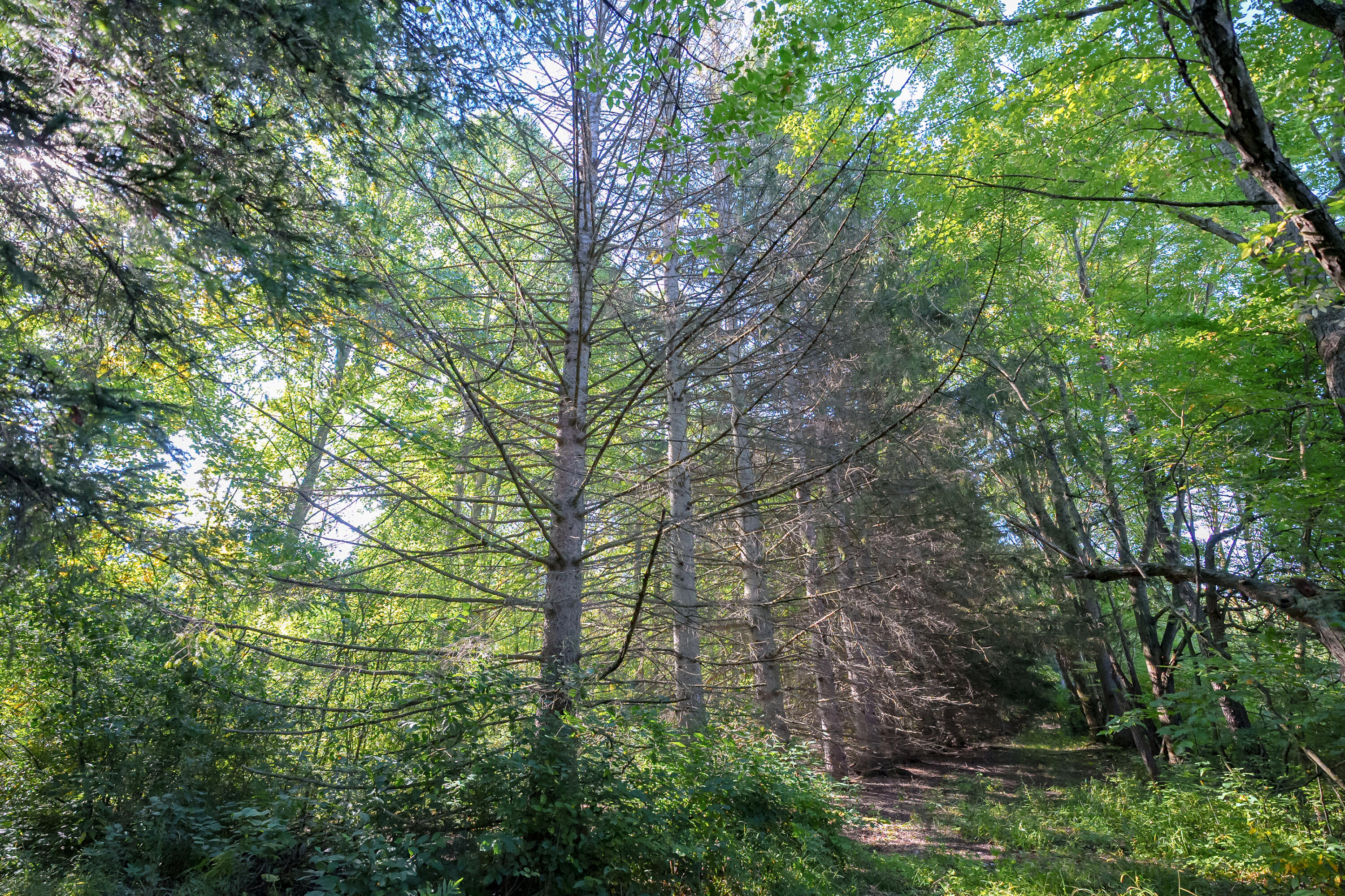 31664 Fish Hatchery Road Kalamazoo MI 49009