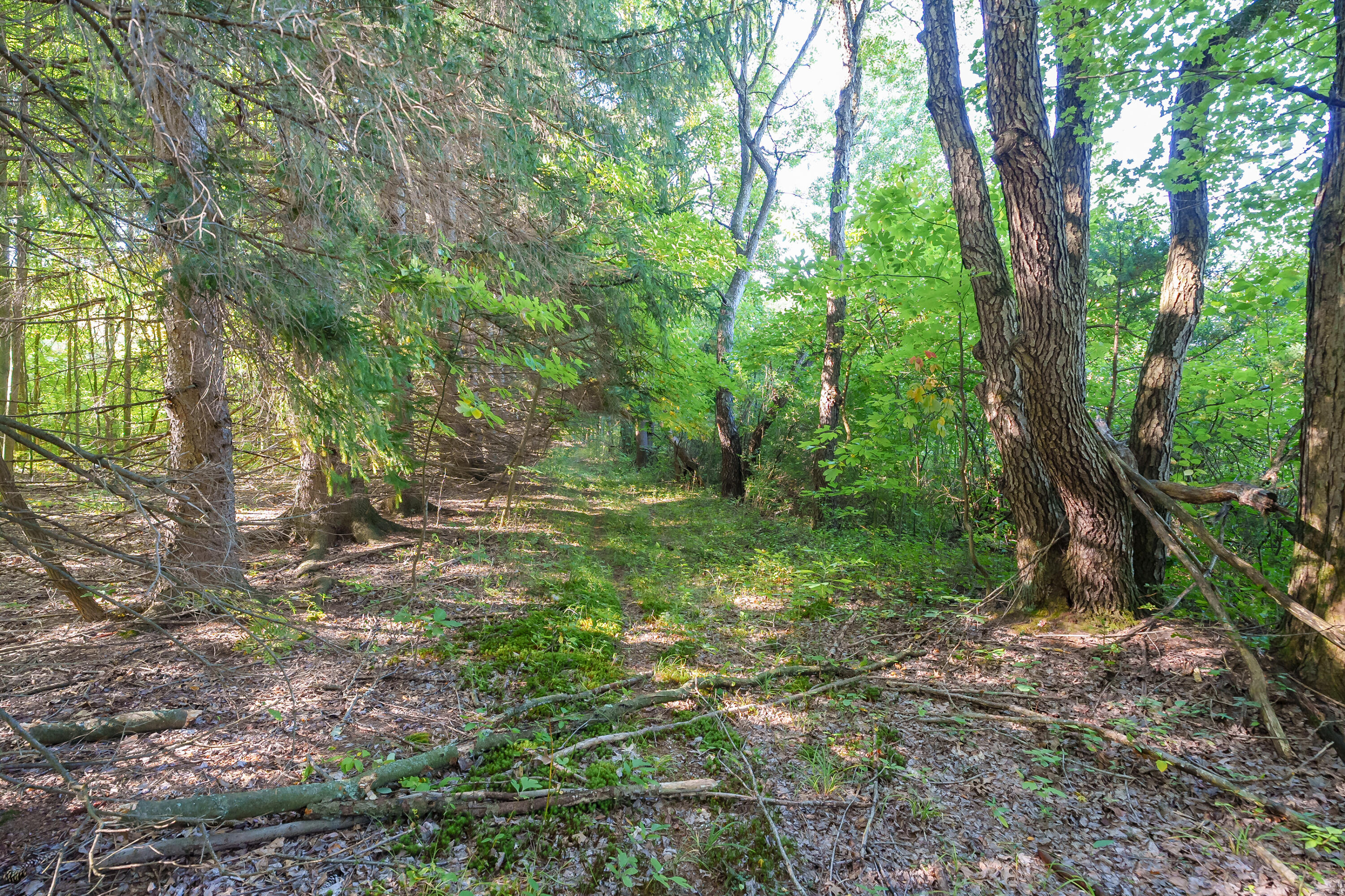 31664 Fish Hatchery Road Kalamazoo MI 49009