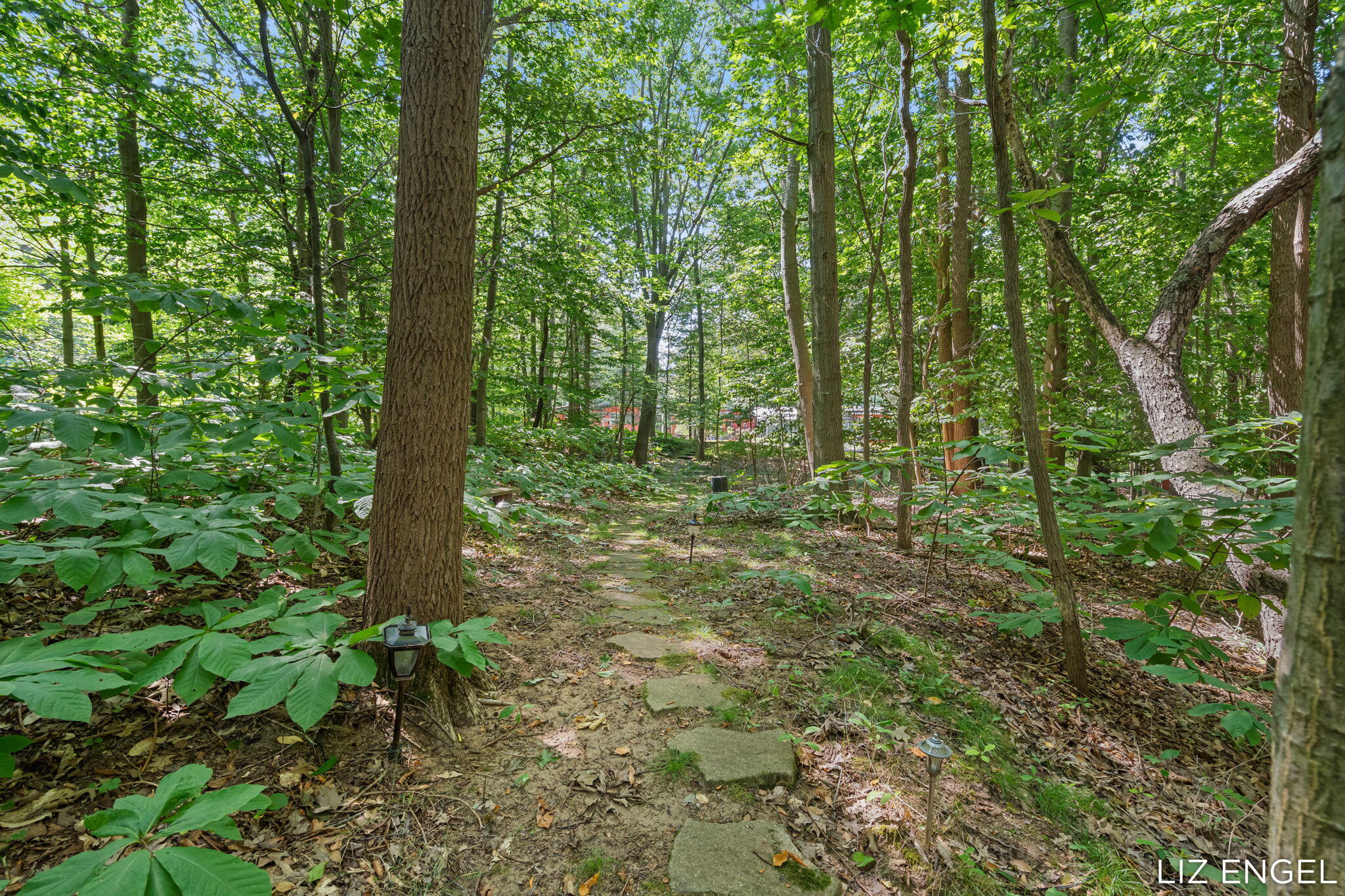 6908 Shore Drive Fennville MI 49408
