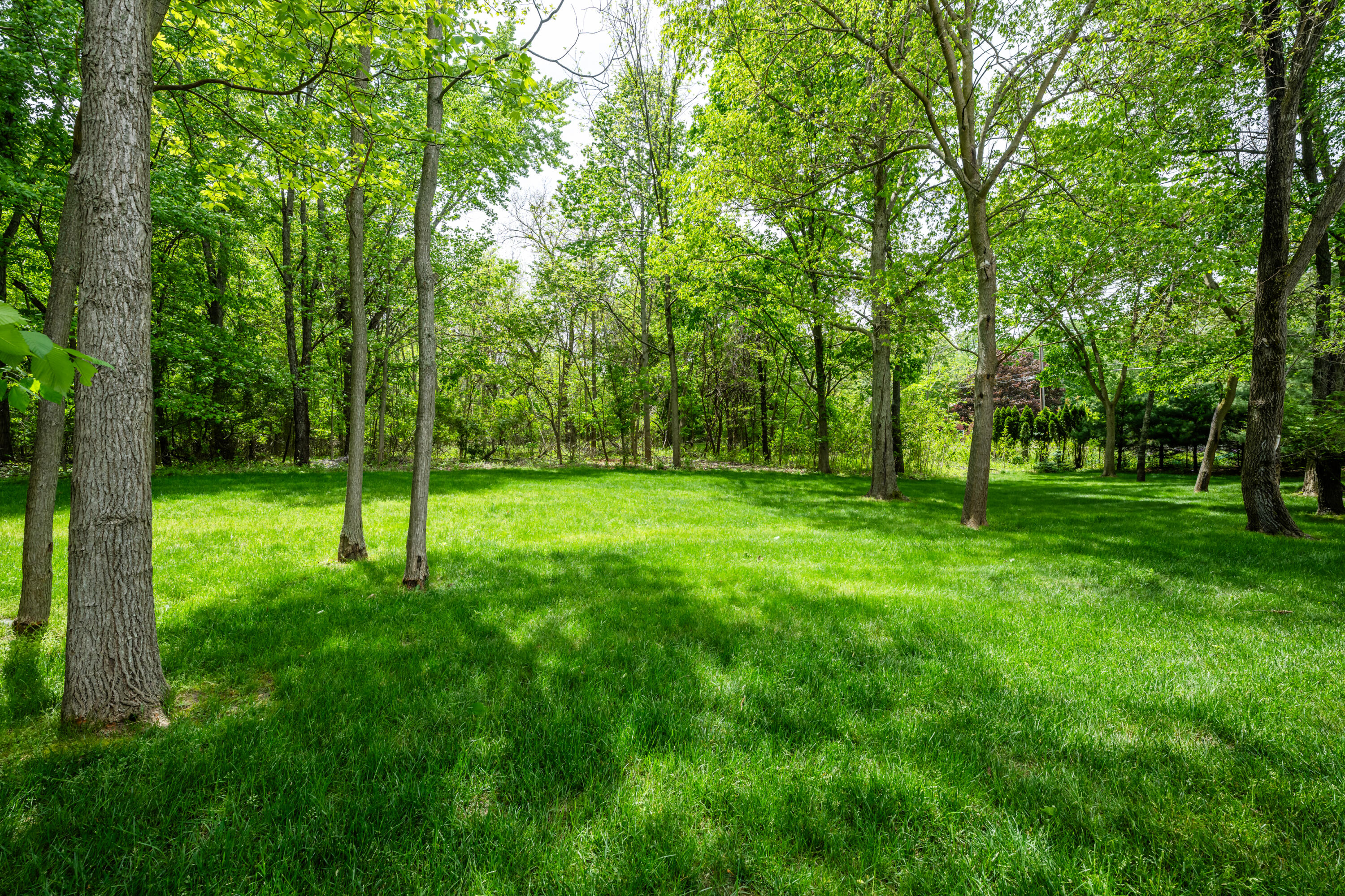 6482 Sweetbriar Court Sawyer MI 49125