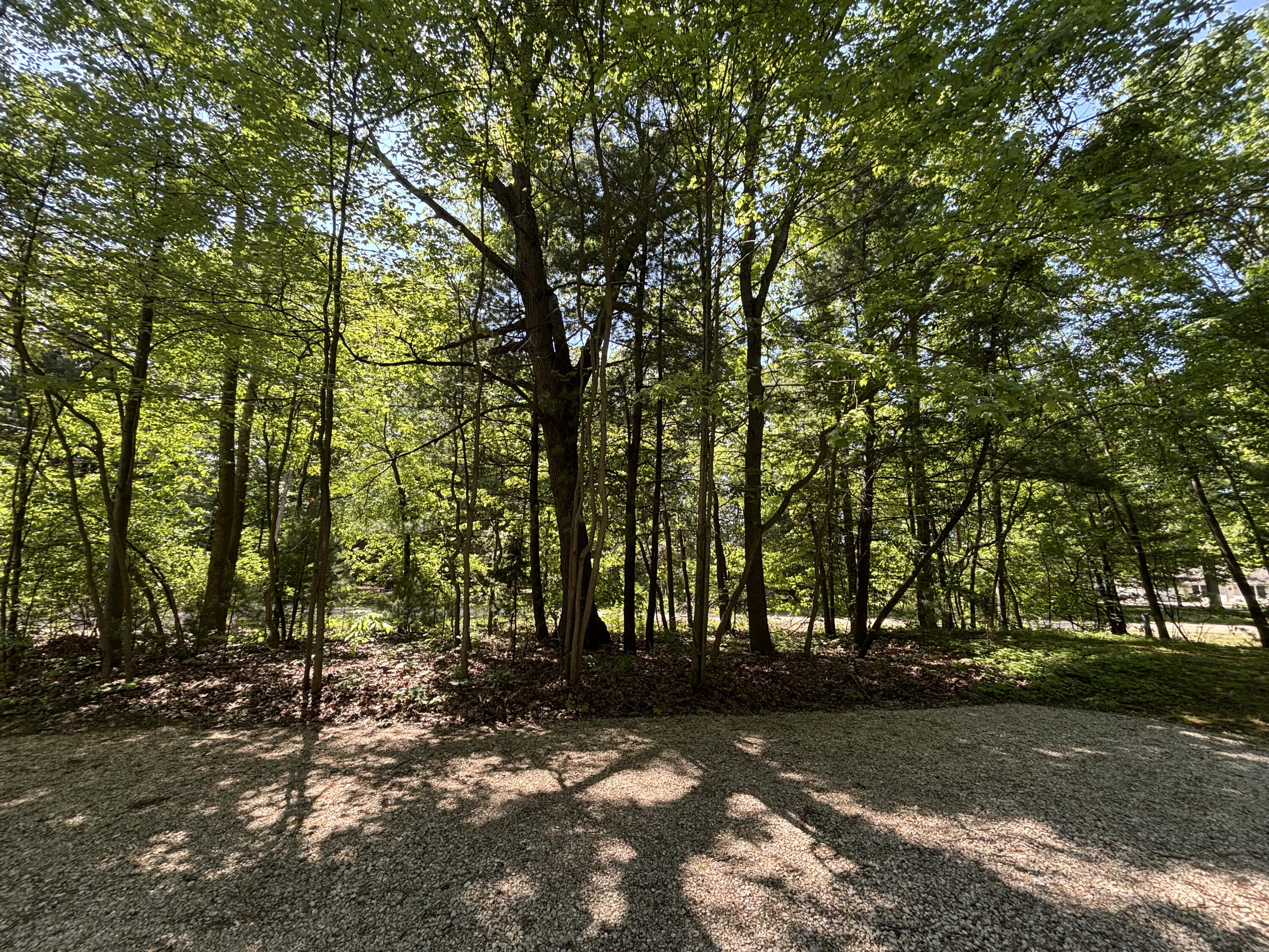 8417 W West Shore Drive Grand Junction MI 49056