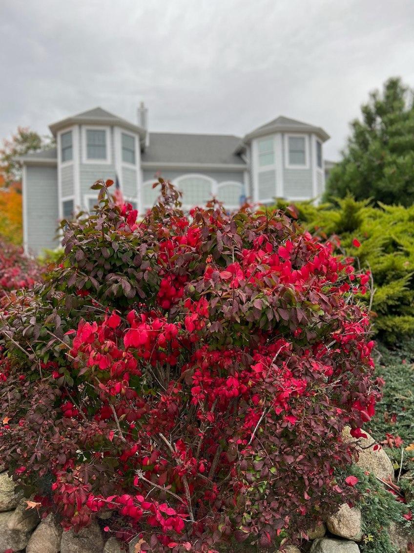 3975 Harbor Breeze Drive Norton Shores MI 49441