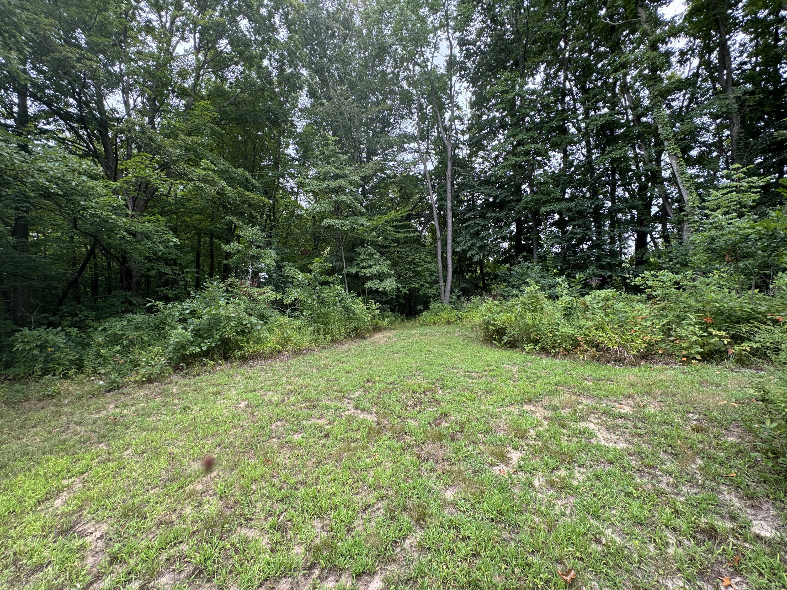 35716 M 140 Highway Covert MI 49043