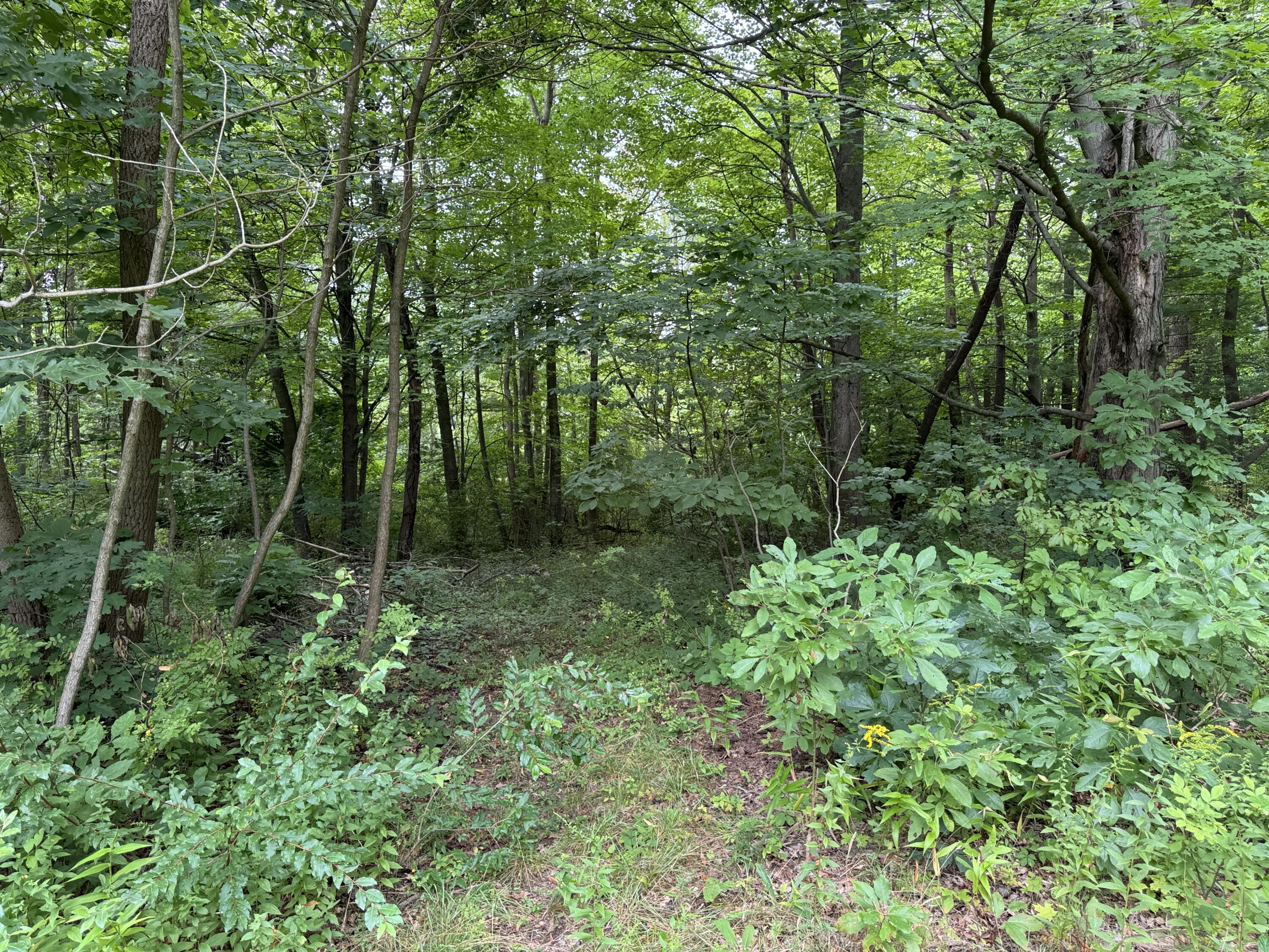 35716 M 140 Highway Covert MI 49043