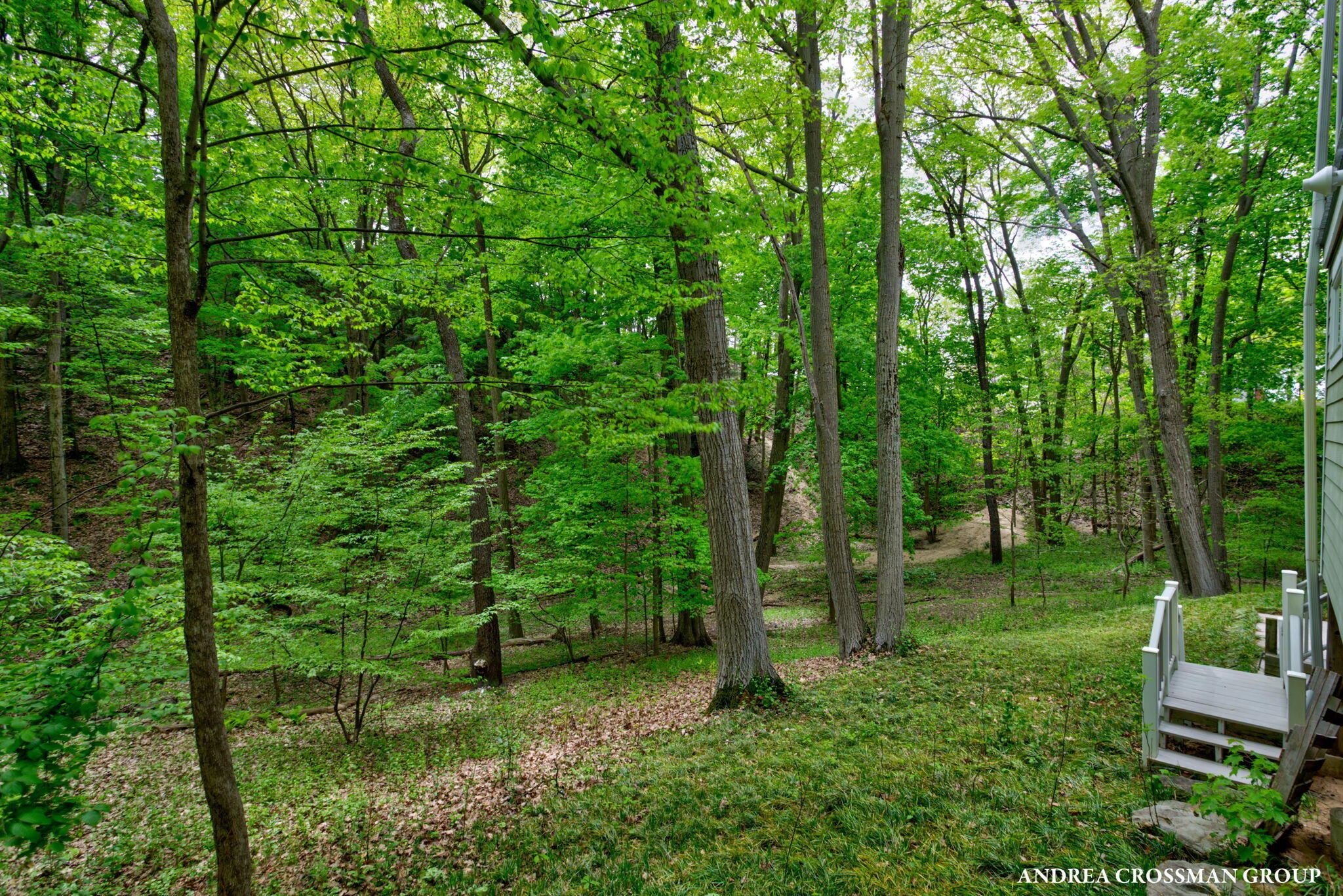 17300 Trillium Ridge West Olive MI 49460