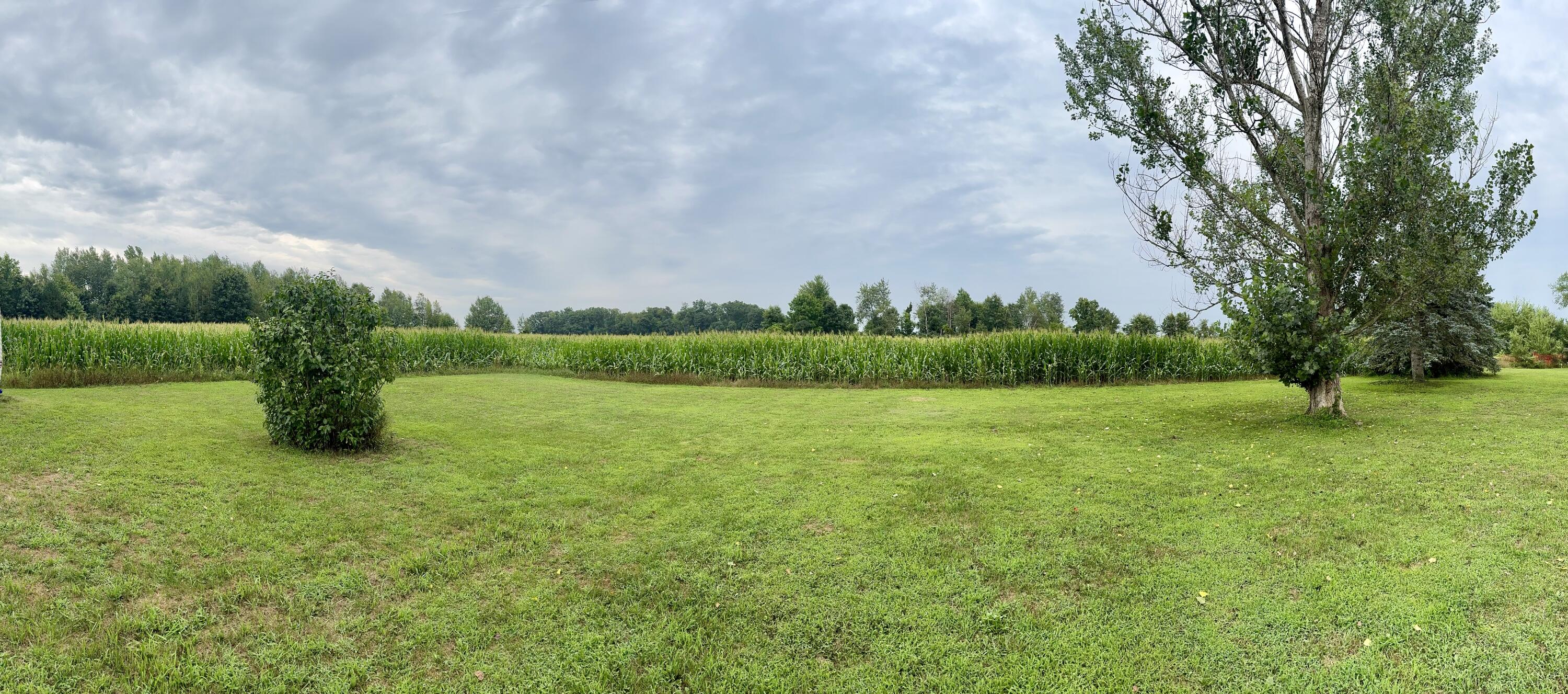 6352 Gavin Lake Avenue NE Rockford MI 49341