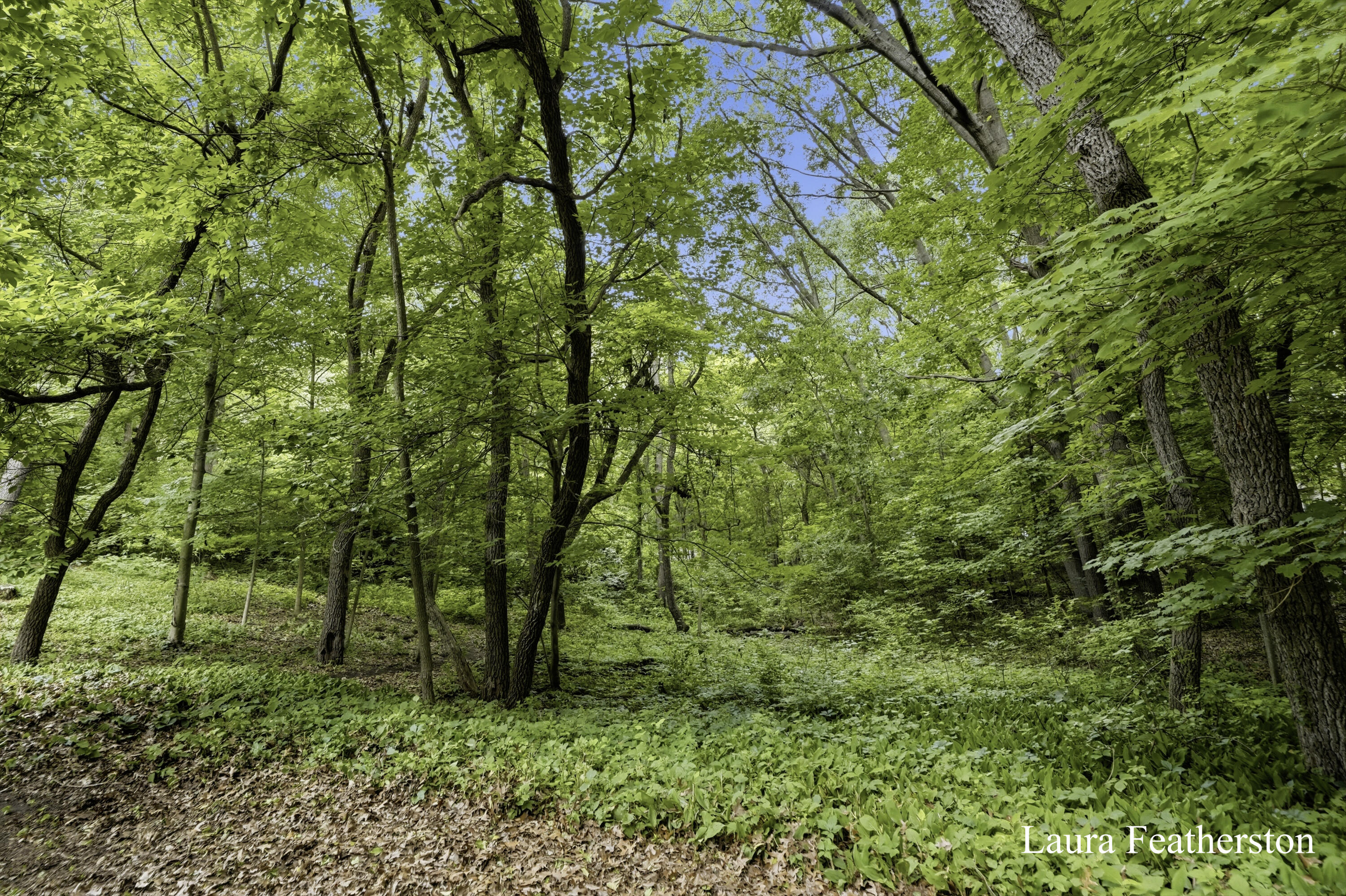 2291 Burton Pines Drive SE Grand Rapids MI 49546