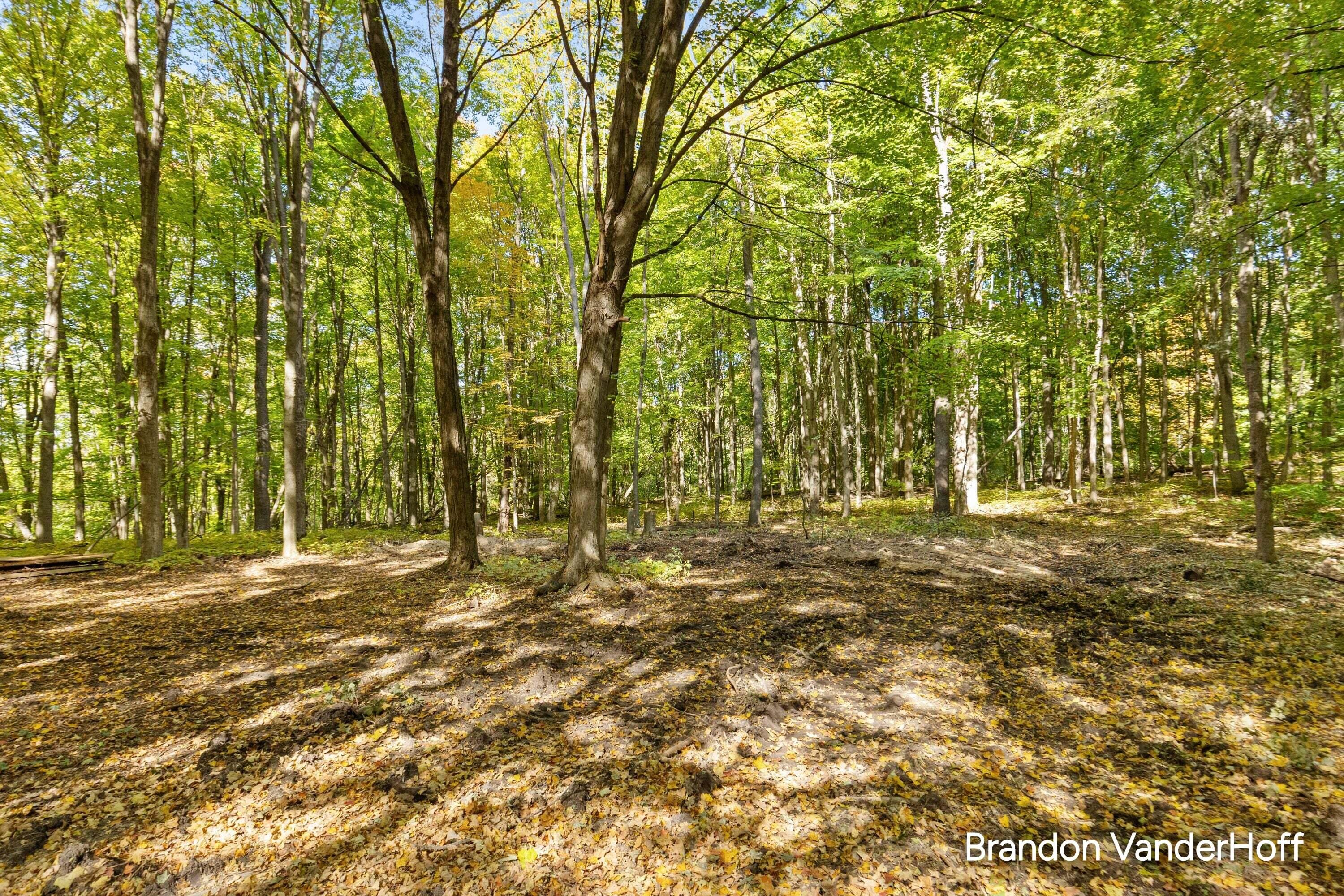 8925 Sorrento Ridge Drive SE Byron Center MI 49315