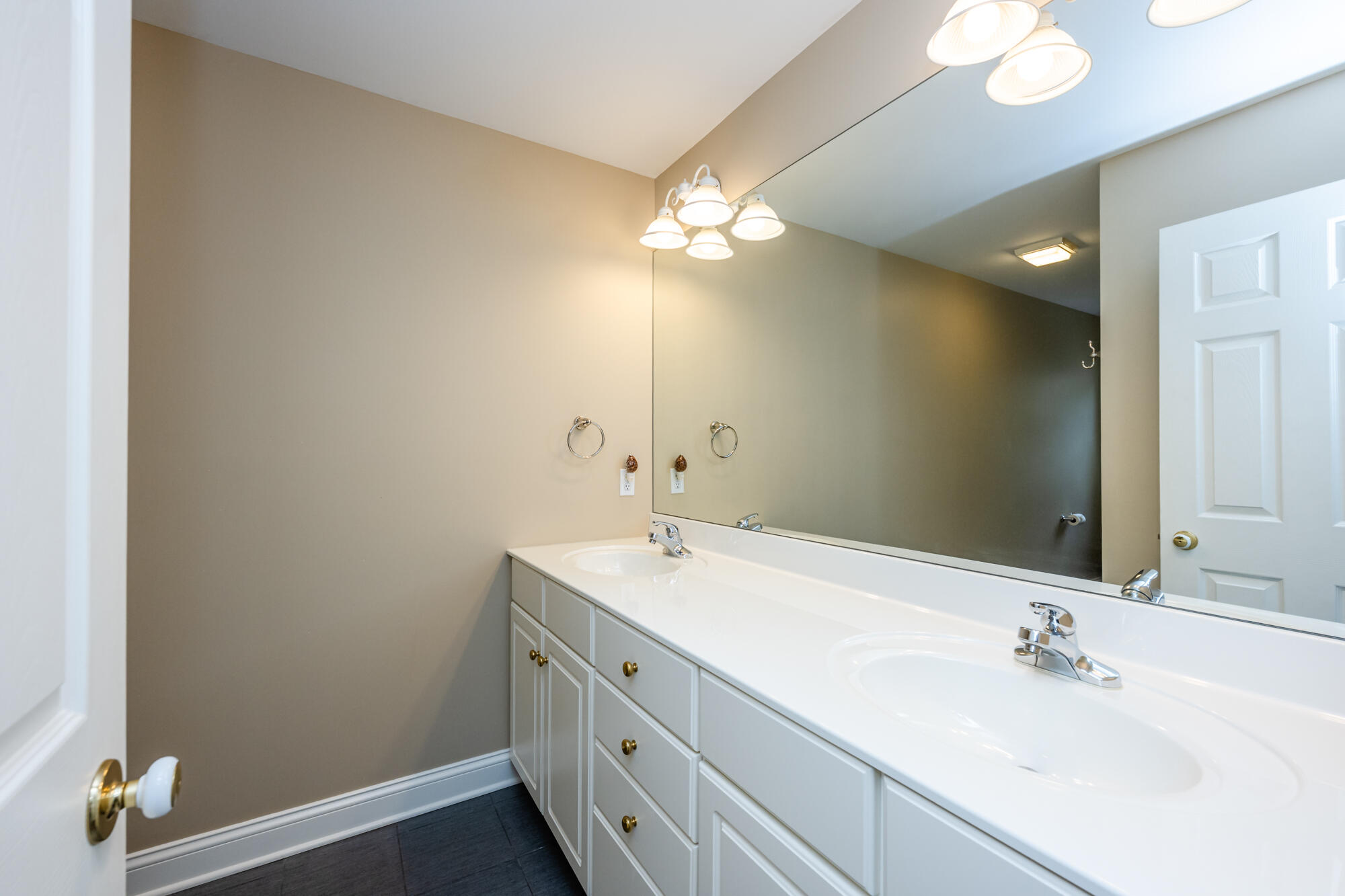 3040 Dunes Valley Path Stevensville MI 49127