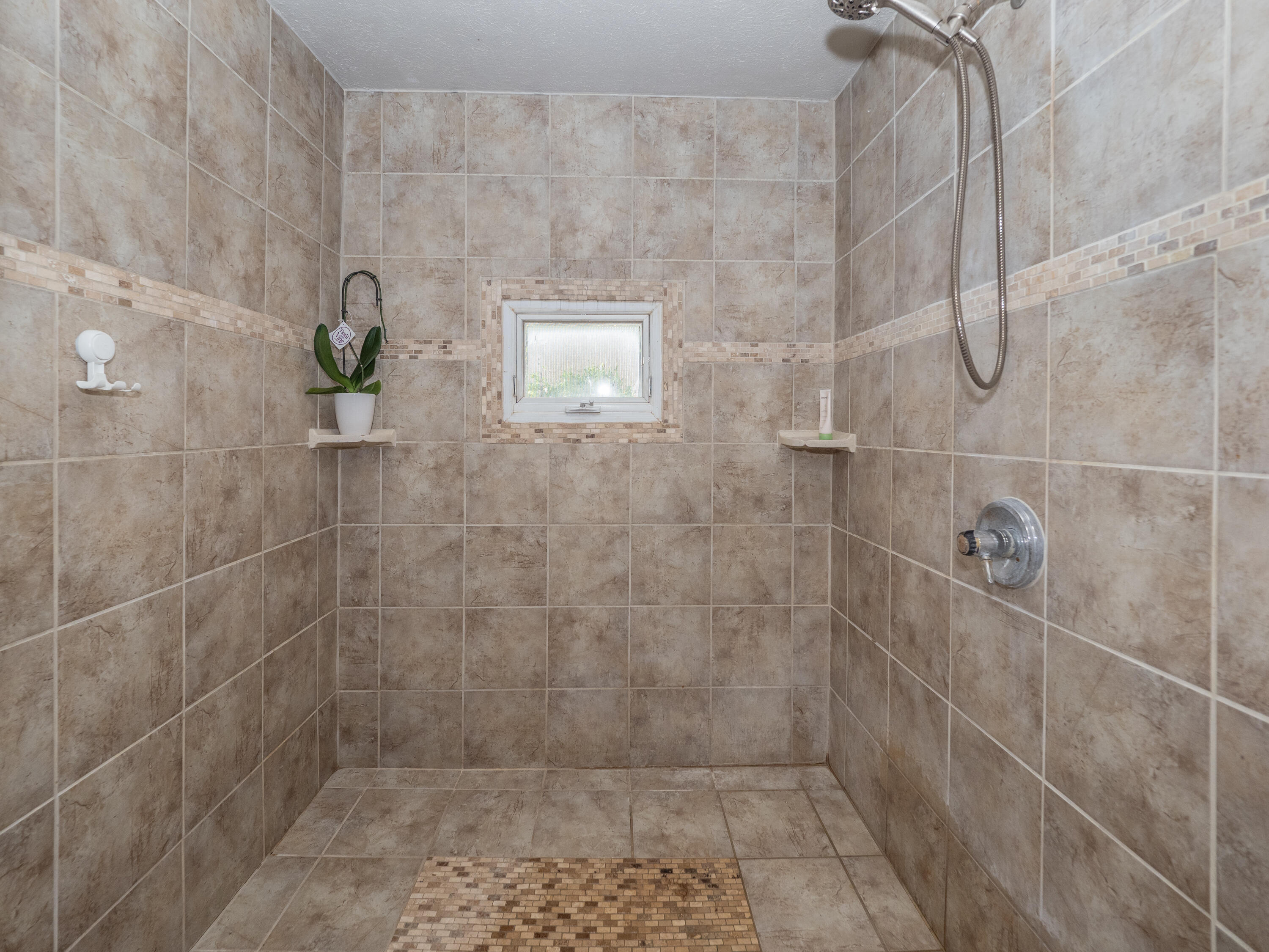 45523 Eleanor Drive Decatur MI 49045