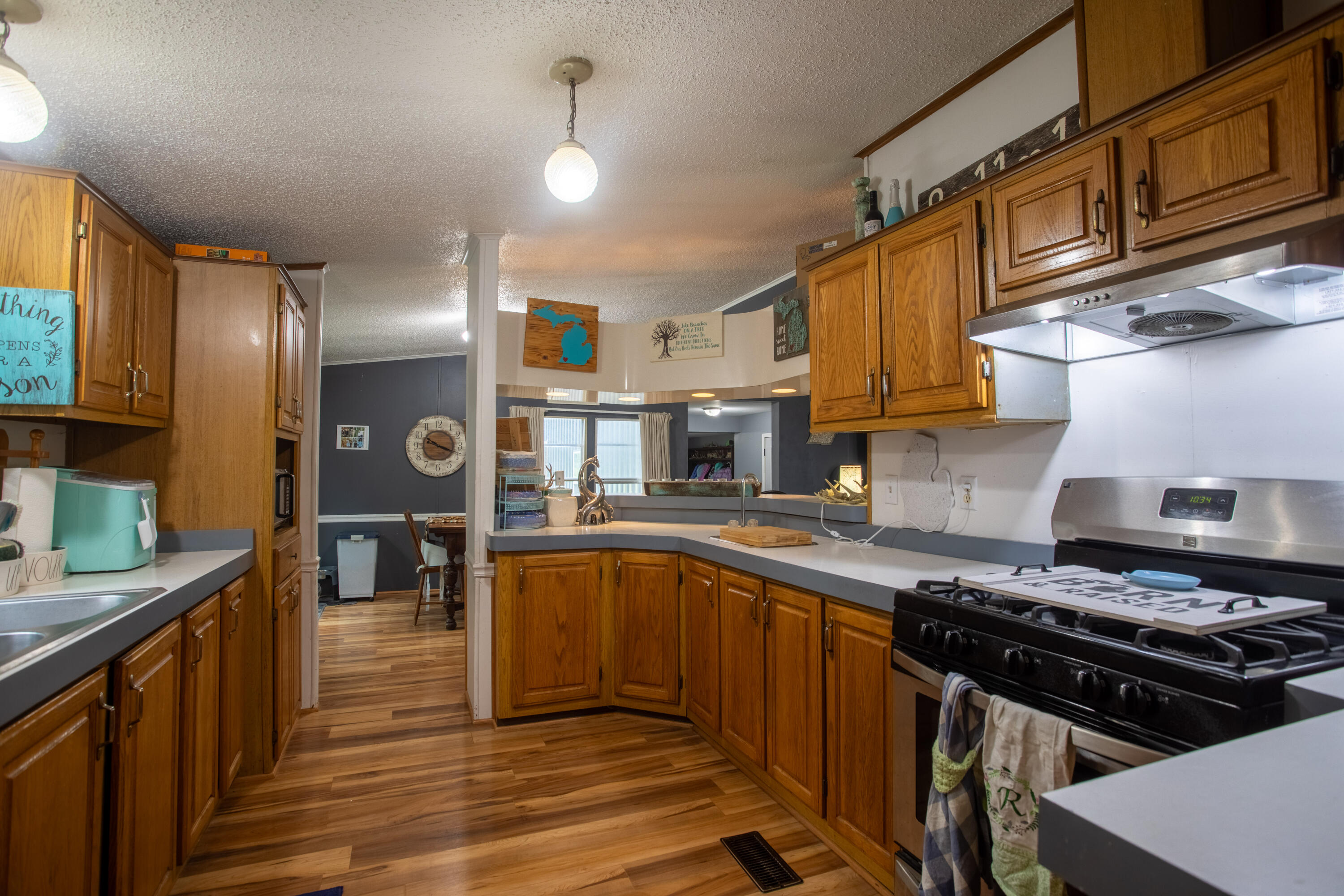 22400 Fosdick Street Dowagiac MI 49047