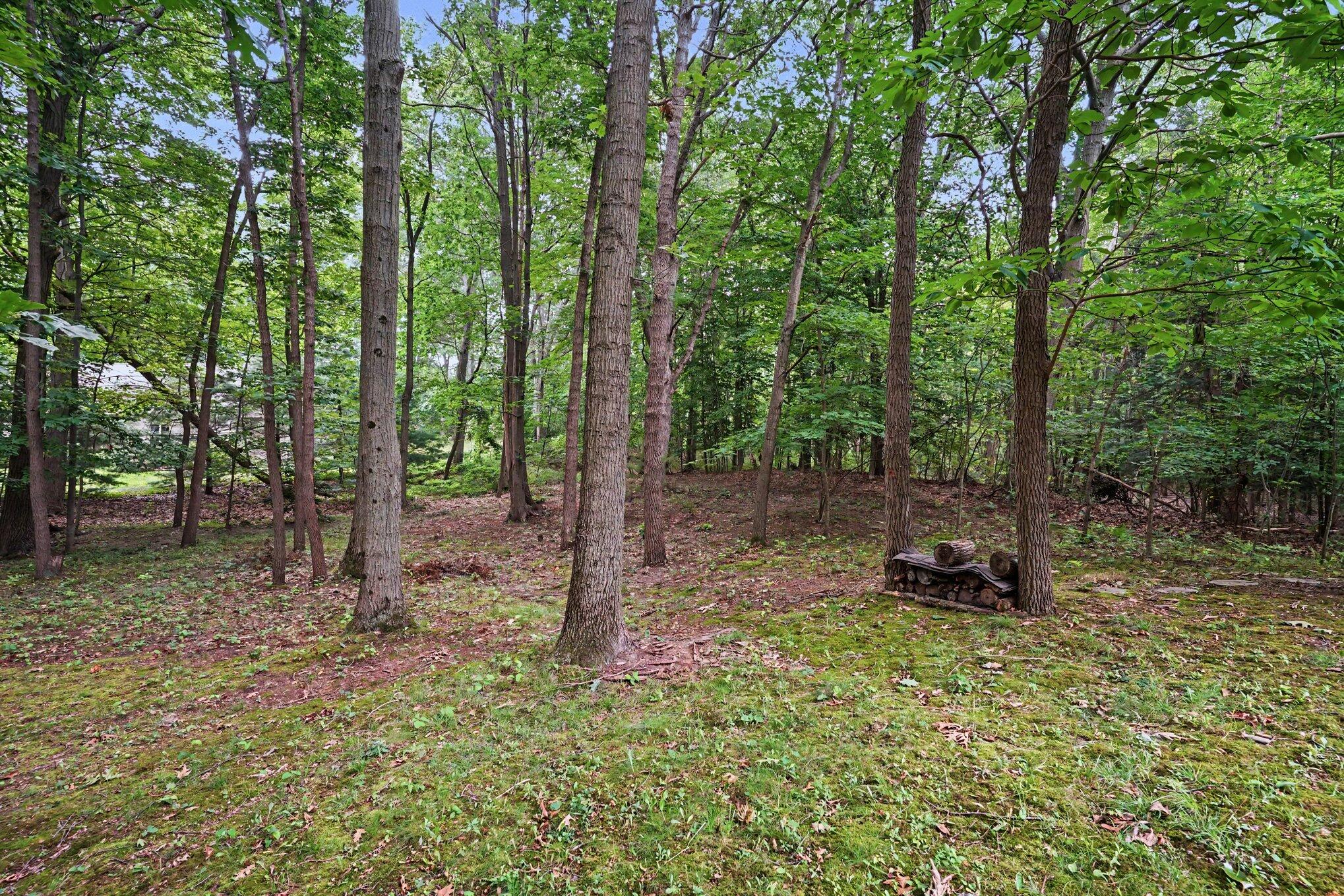 3334 Clearview Lane Saugatuck MI 49453