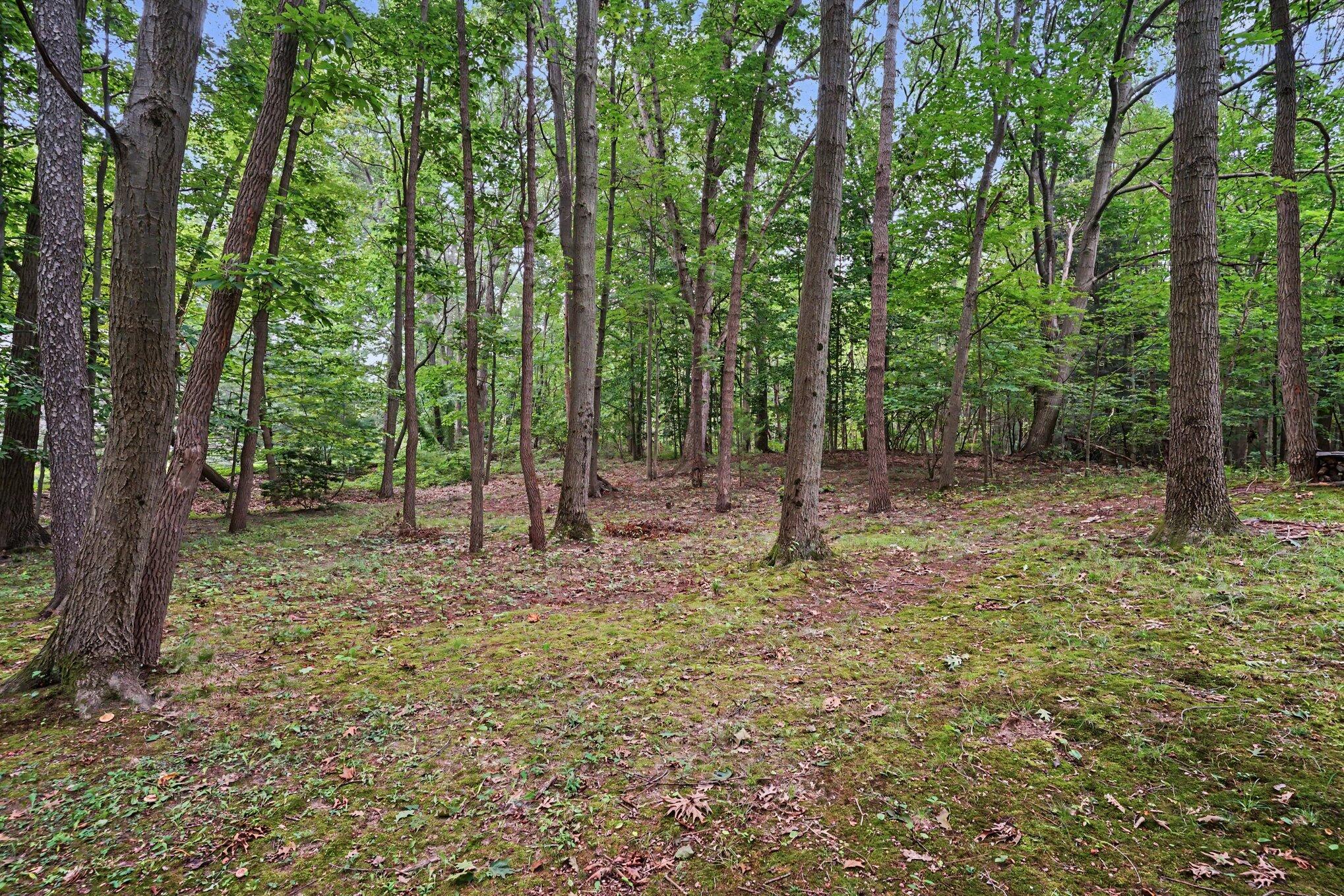 3334 Clearview Lane Saugatuck MI 49453