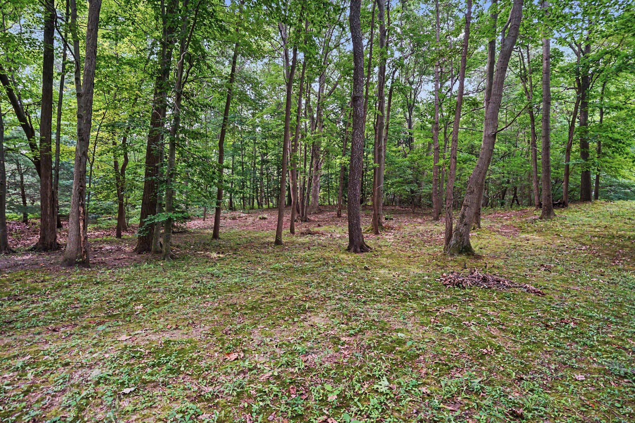 3334 Clearview Lane Saugatuck MI 49453