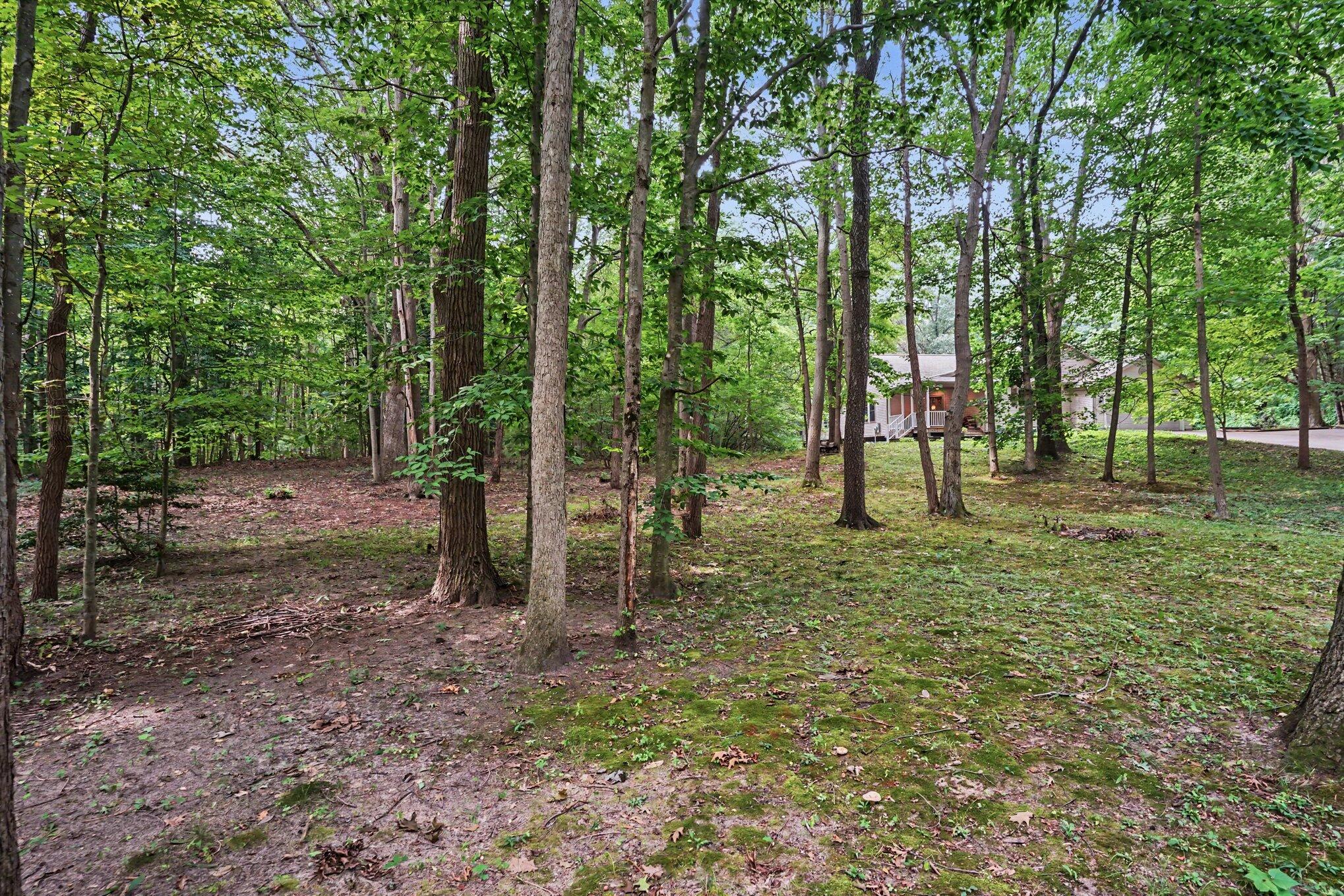 3334 Clearview Lane Saugatuck MI 49453