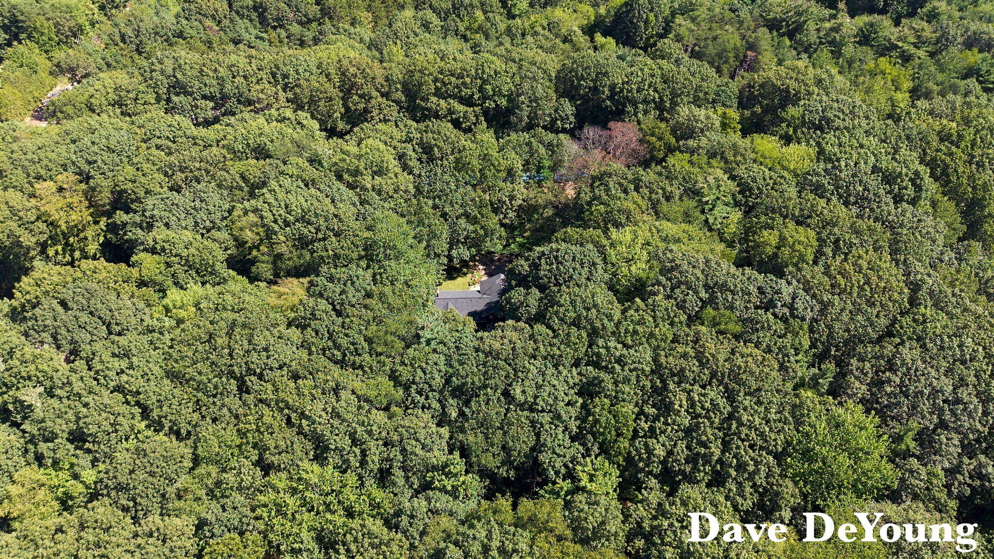 5525 164th Avenue West Olive MI 49460