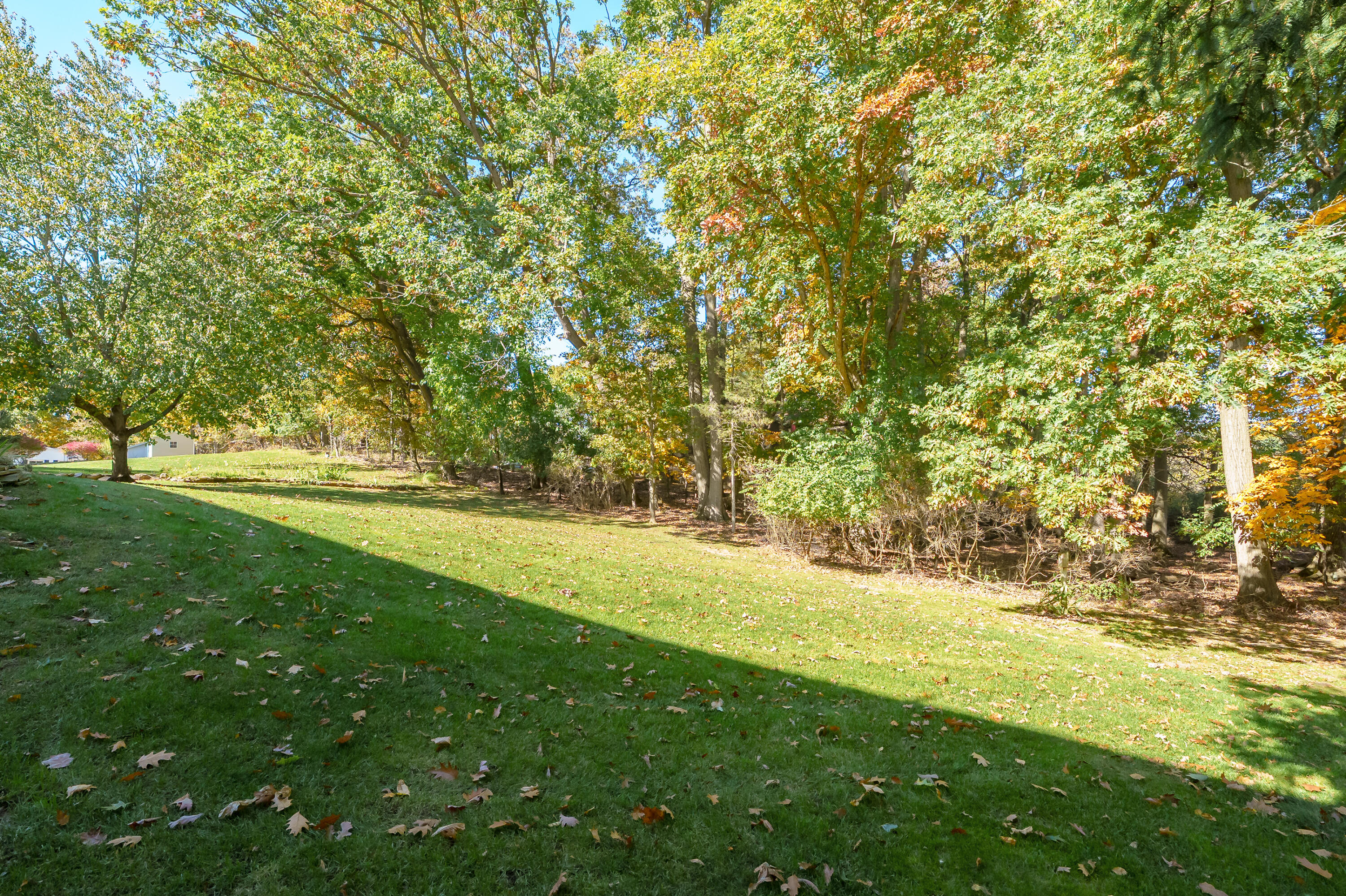 3004 Brandywine Road Kalamazoo MI 49008