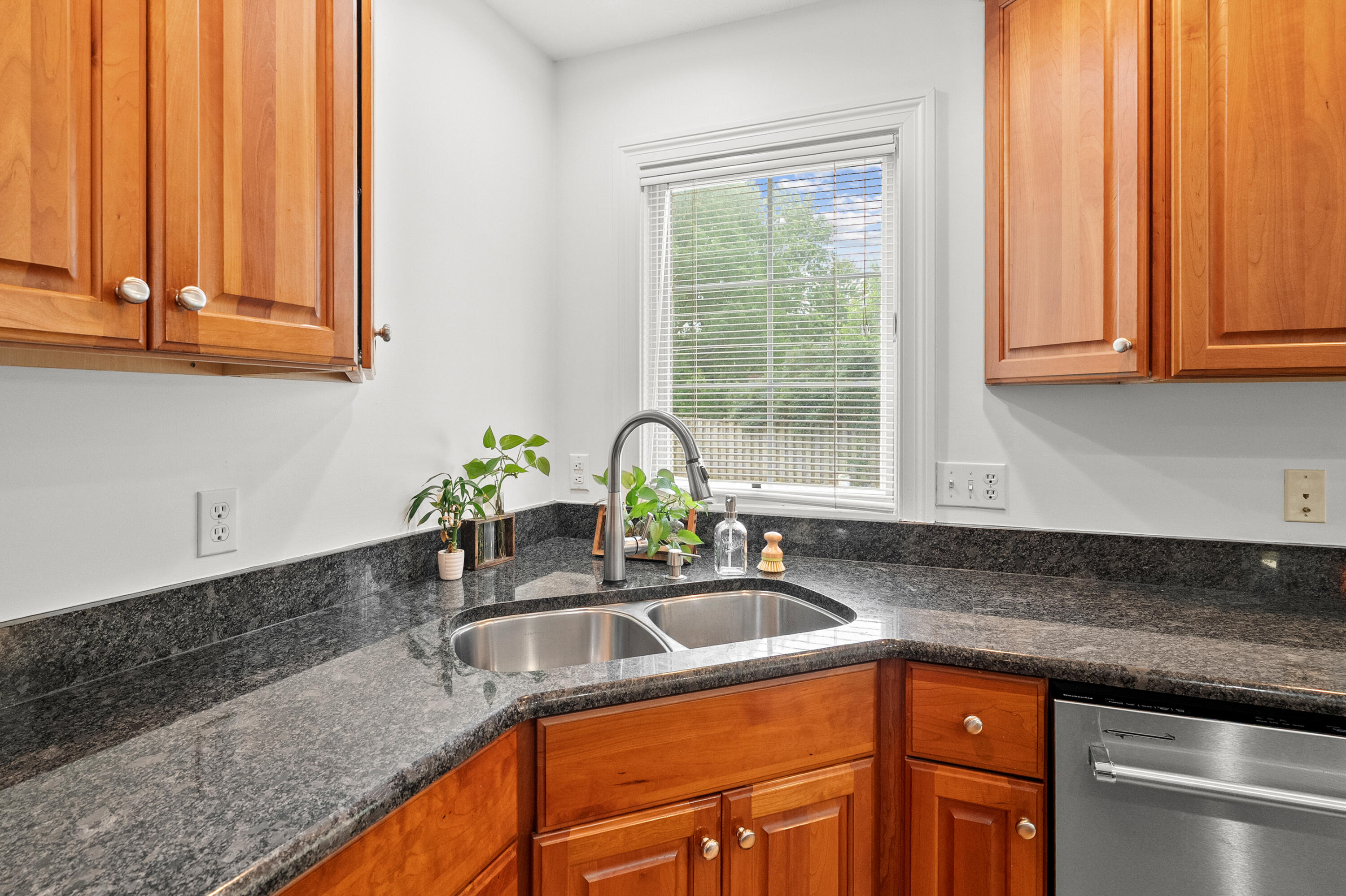 2166 Alpine Court Stevensville MI 49127