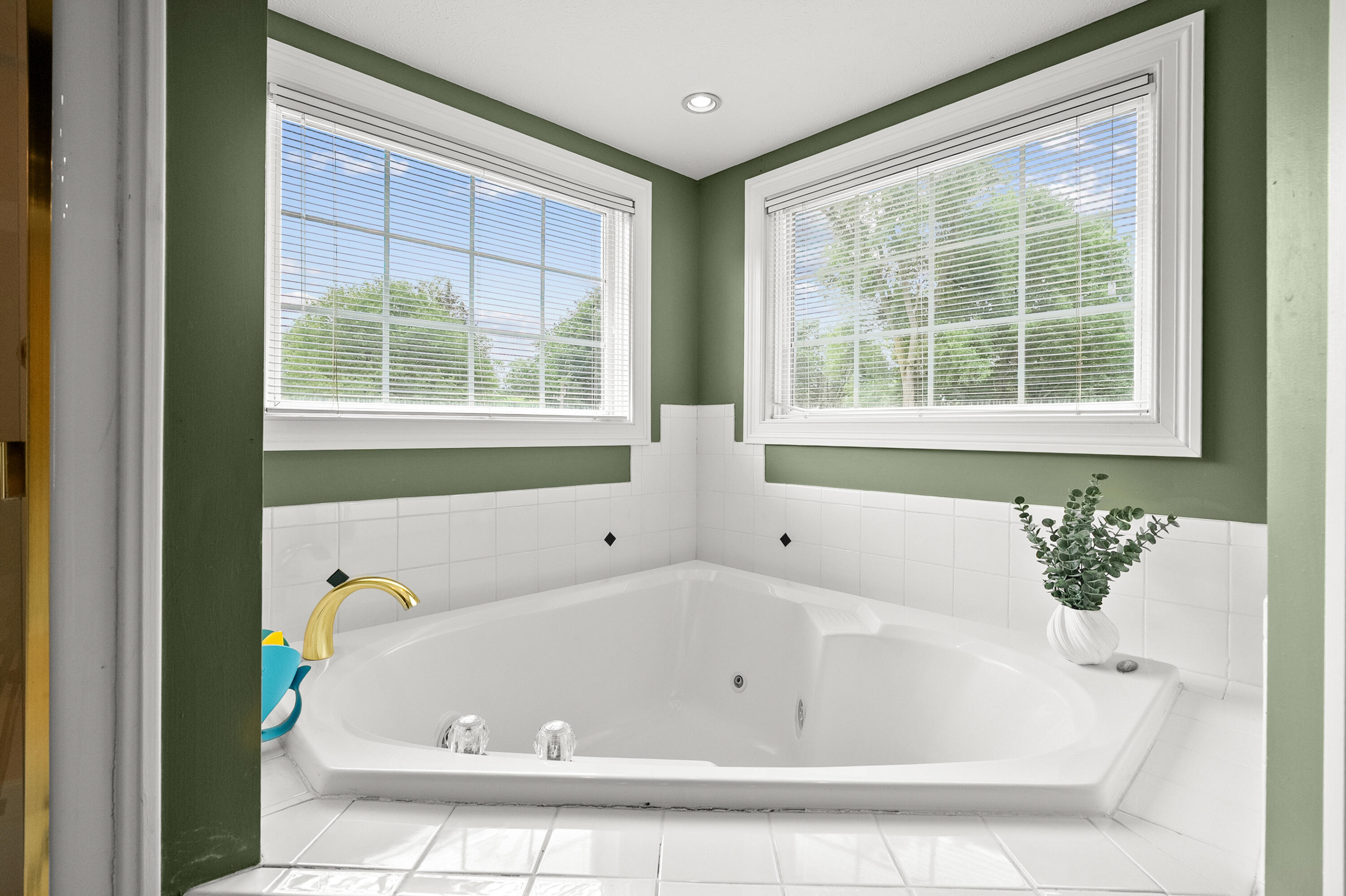 2166 Alpine Court Stevensville MI 49127