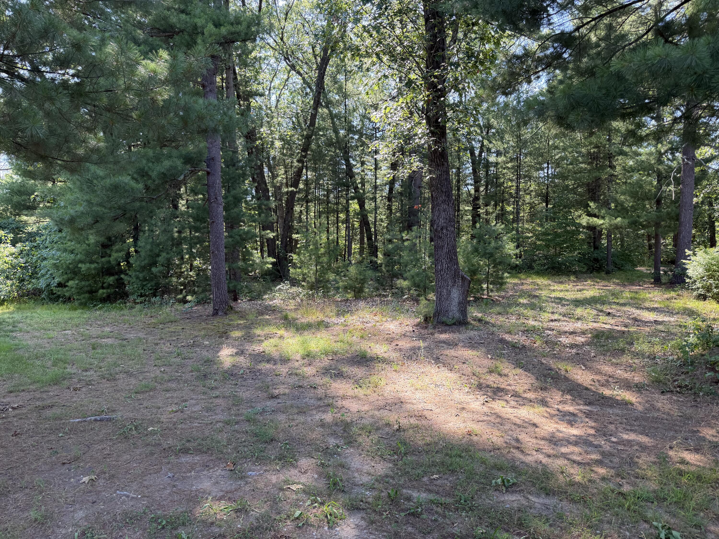 1667 Oakwood Trail Allegan MI 49010