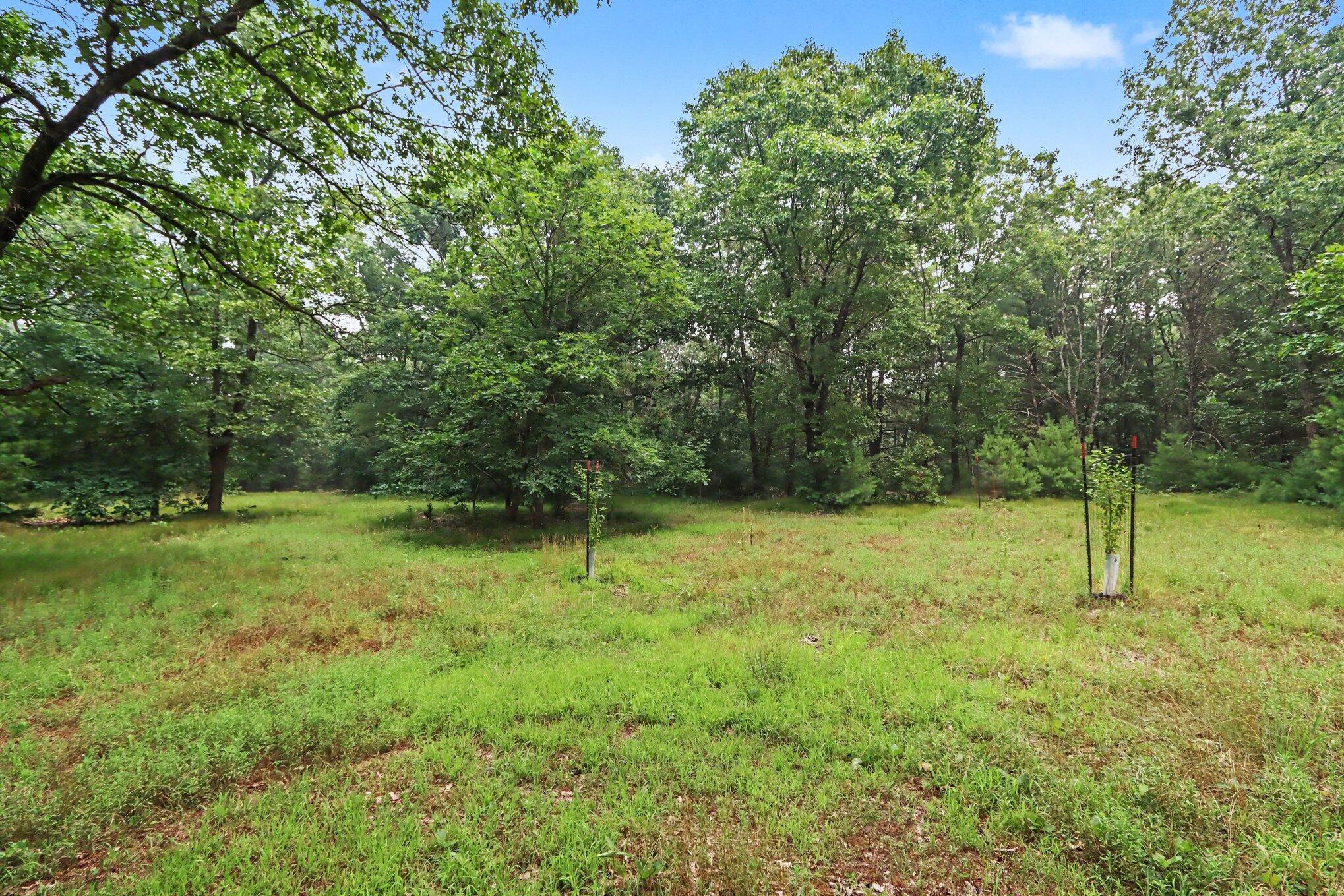 1667 Oakwood Trail Allegan MI 49010