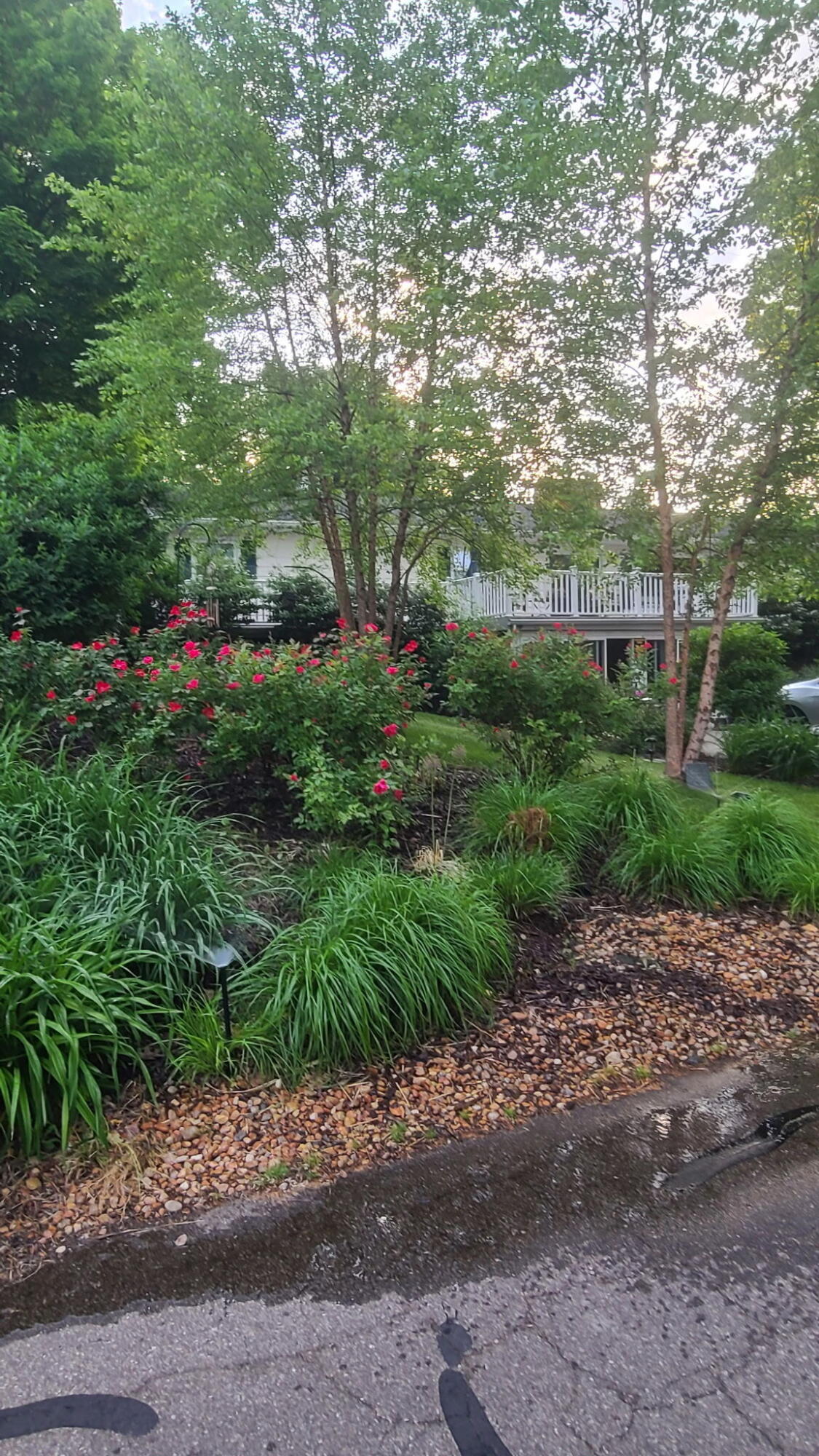 7030 N Maple Drive Coloma MI 49038