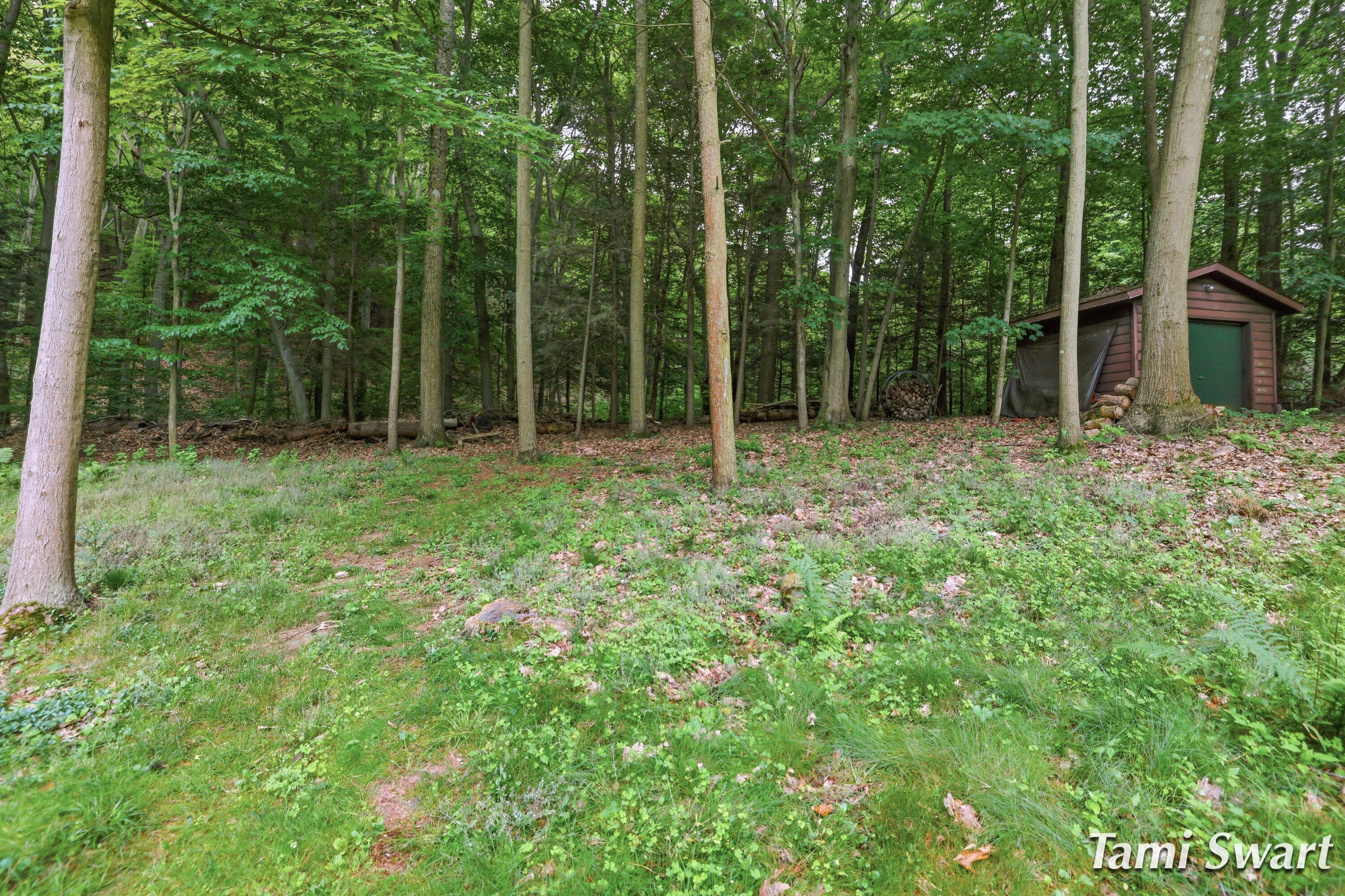 17484 Beech Hill Drive Grand Haven MI 49417