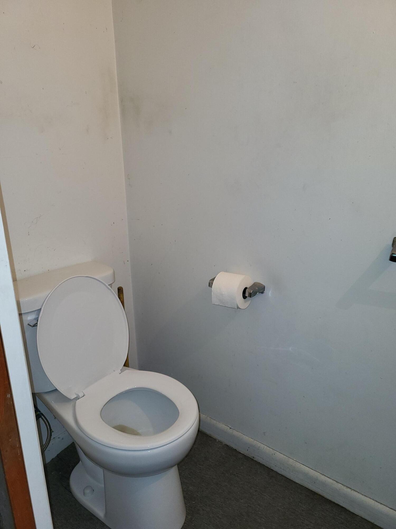 219 E Delaware Decatur MI 49045