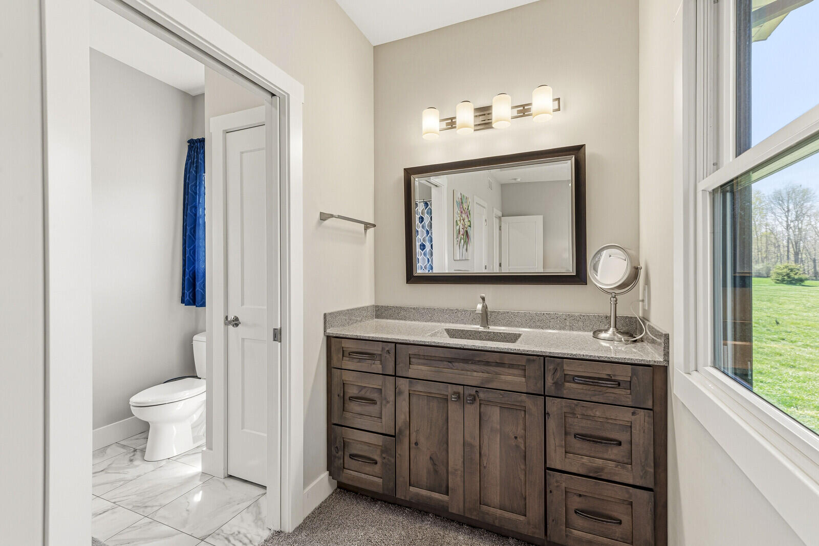 10353 Jill Lane Berrien Springs MI 49103